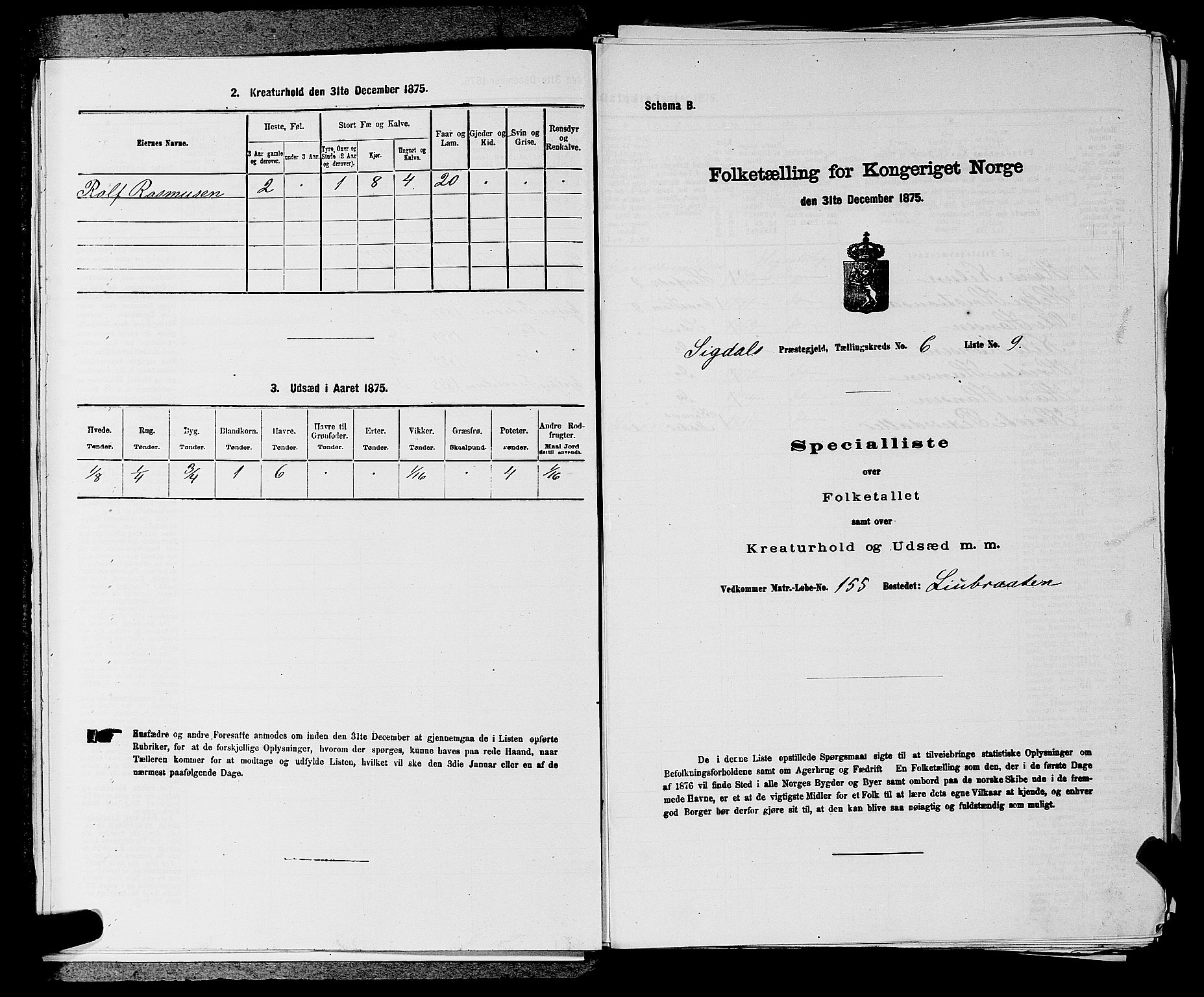 SAKO, Folketelling 1875 for 0621P Sigdal prestegjeld, 1875, s. 867