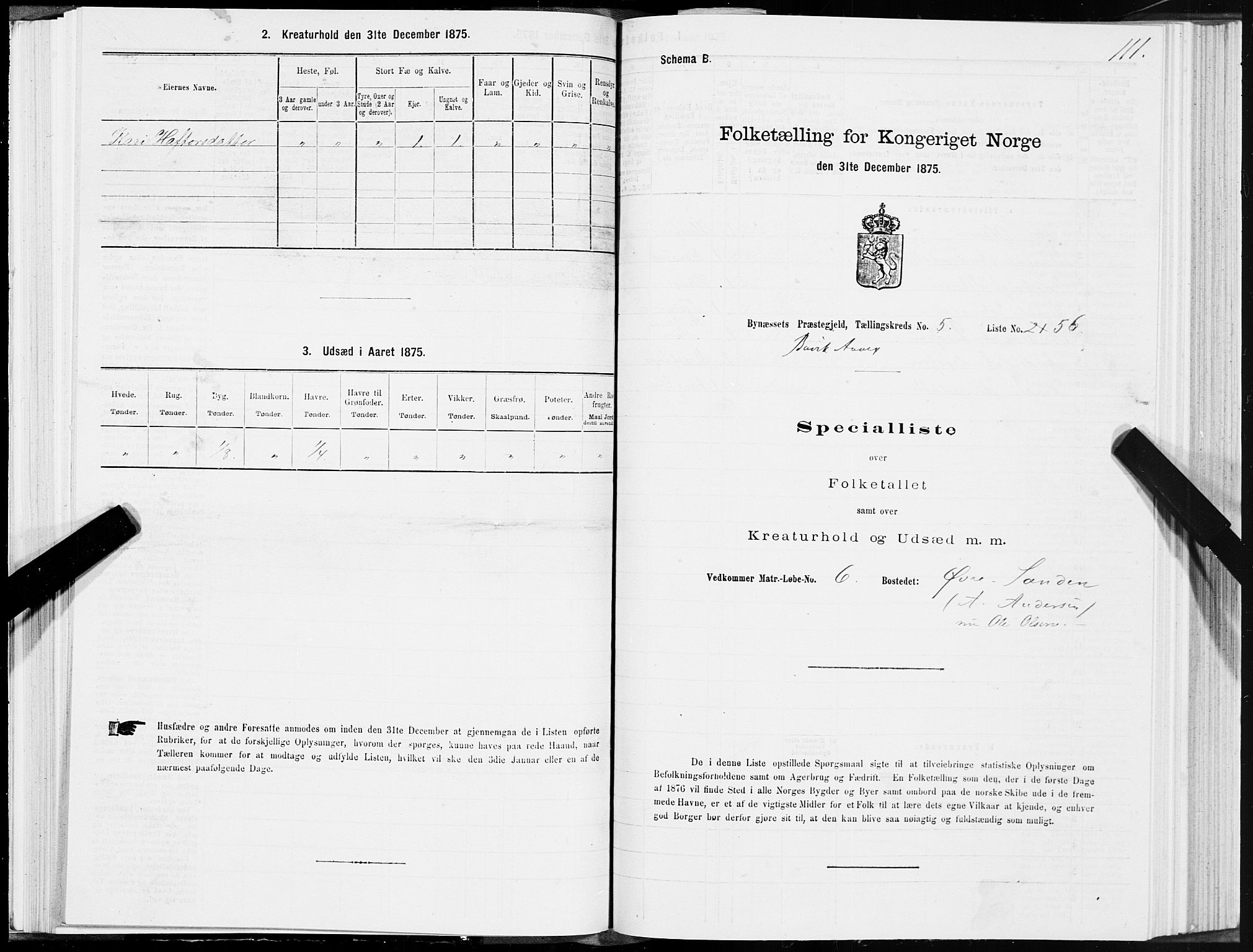 SAT, Folketelling 1875 for 1655P Byneset prestegjeld, 1875, s. 3111