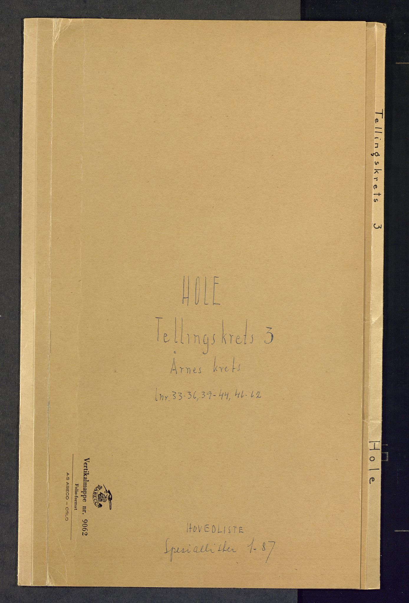 SAKO, Folketelling 1875 for 0612P Hole prestegjeld, 1875, s. 12