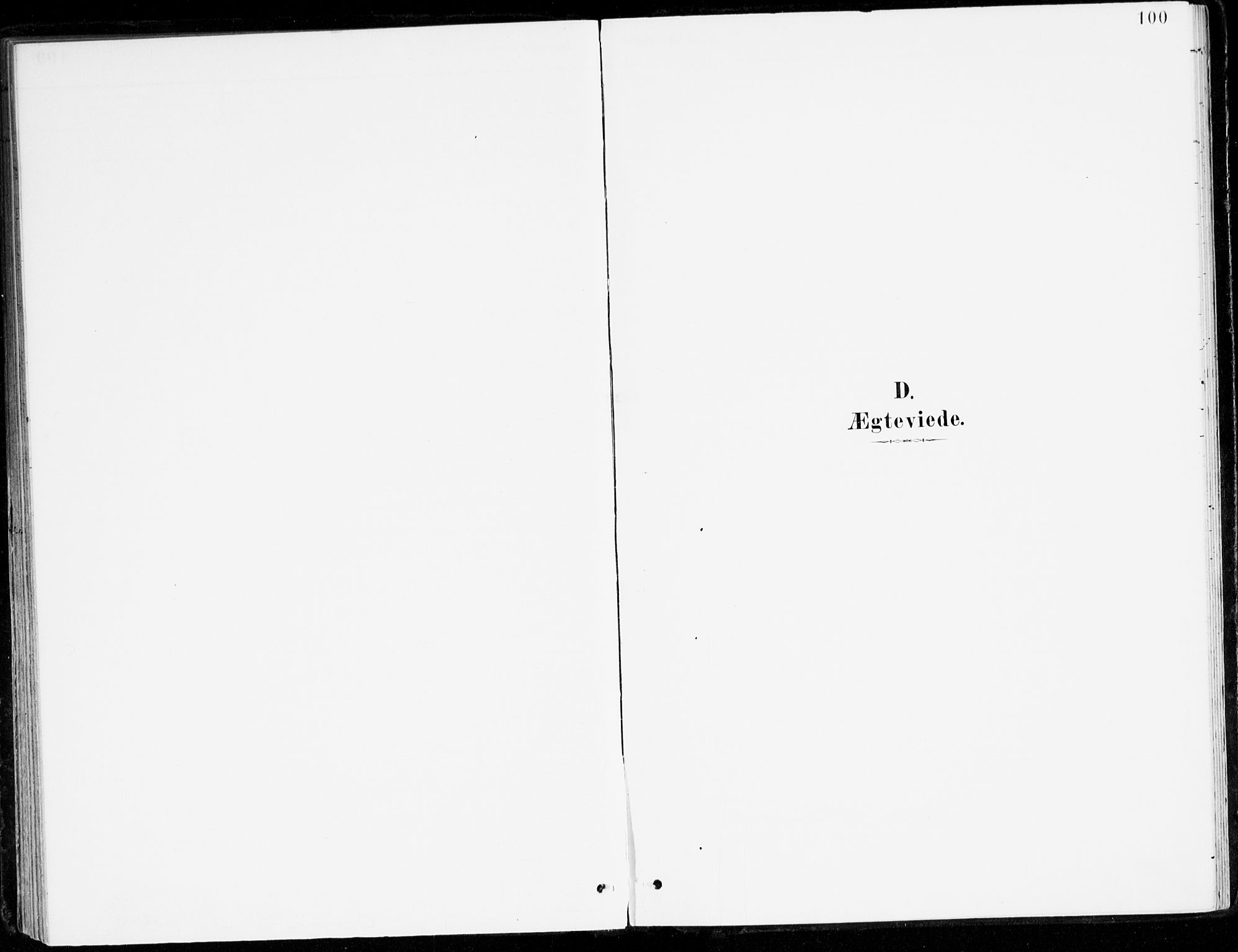 Leikanger sokneprestembete, SAB/A-81001: Ministerialbok nr. D 1, 1887-1922, s. 100