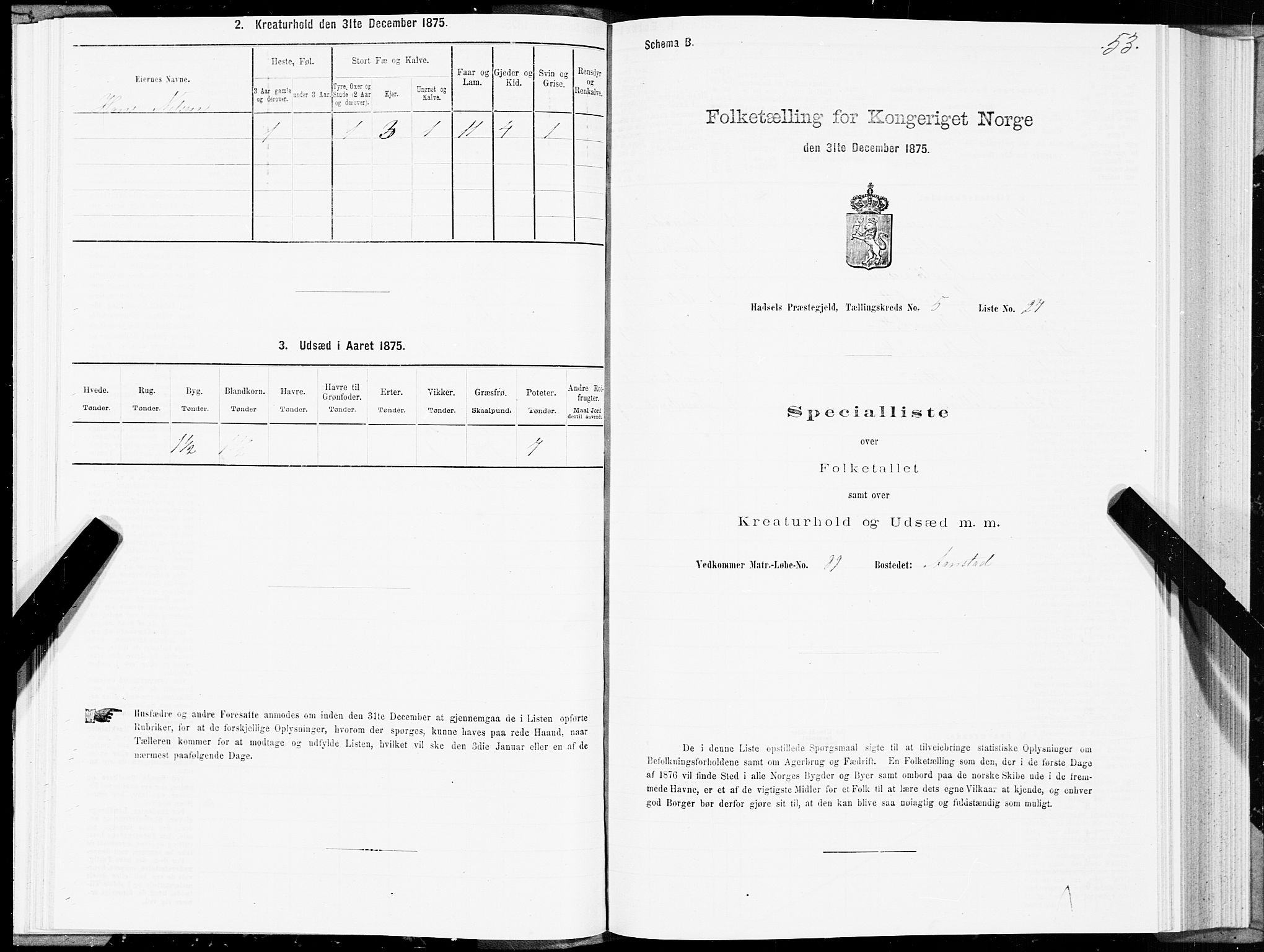 SAT, Folketelling 1875 for 1866P Hadsel prestegjeld, 1875, s. 3053