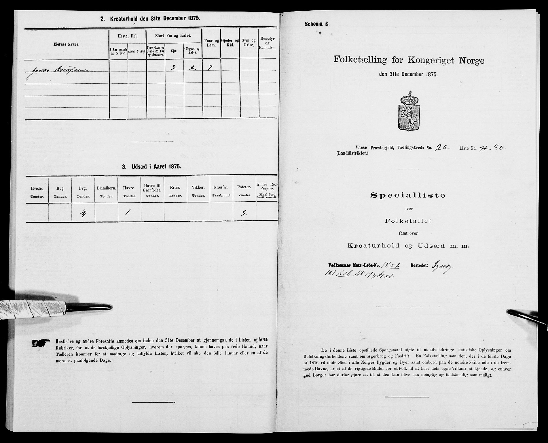 SAK, Folketelling 1875 for 1041L Vanse prestegjeld, Vanse sokn og Farsund landsokn, 1875, s. 460