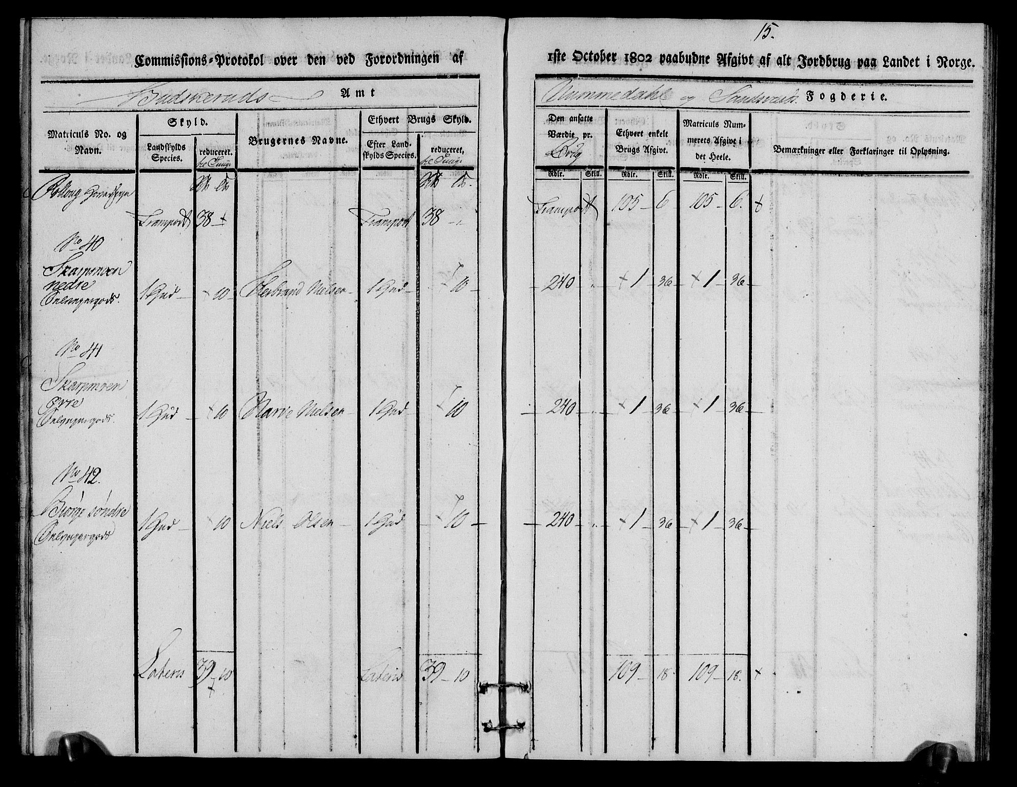 Rentekammeret inntil 1814, Realistisk ordnet avdeling, AV/RA-EA-4070/N/Ne/Nea/L0056a: Numedal og Sandsvær fogderi. Kommisjonsprotokoll for Rollag hovedsogn og Veggli anneks, 1803, s. 16