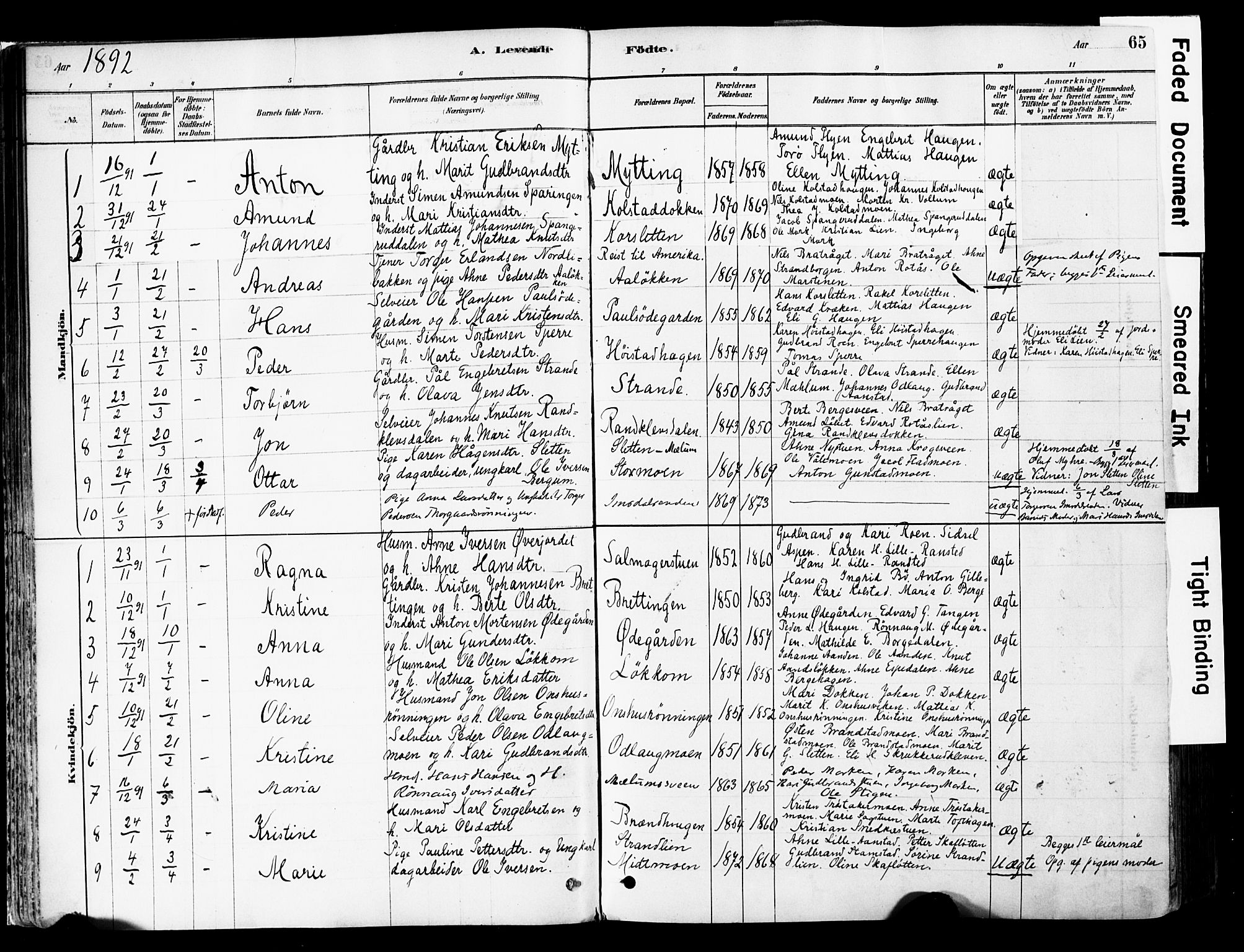 Ringebu prestekontor, AV/SAH-PREST-082/H/Ha/Haa/L0008: Ministerialbok nr. 8, 1878-1898, s. 65