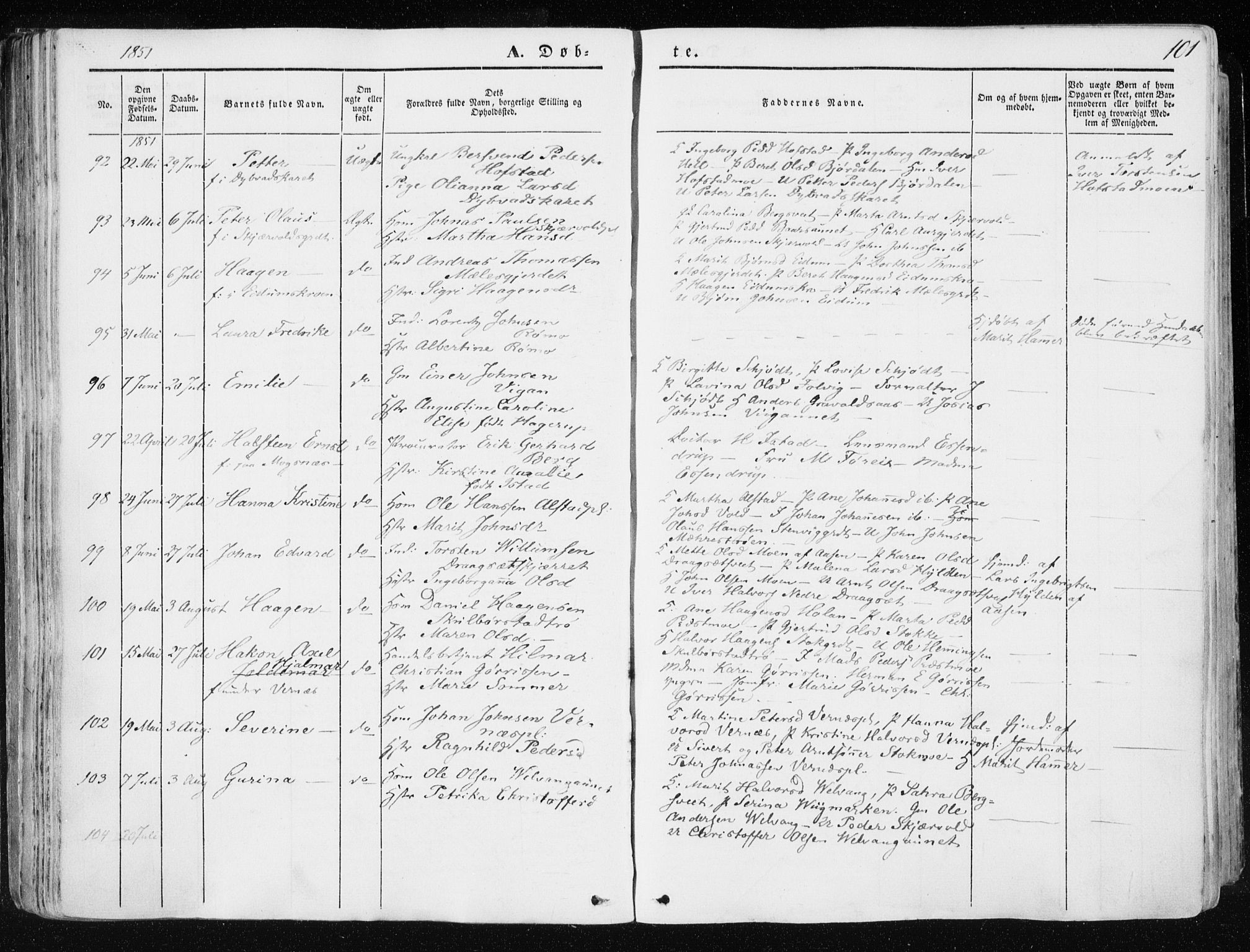 Ministerialprotokoller, klokkerbøker og fødselsregistre - Nord-Trøndelag, AV/SAT-A-1458/709/L0074: Ministerialbok nr. 709A14, 1845-1858, s. 101