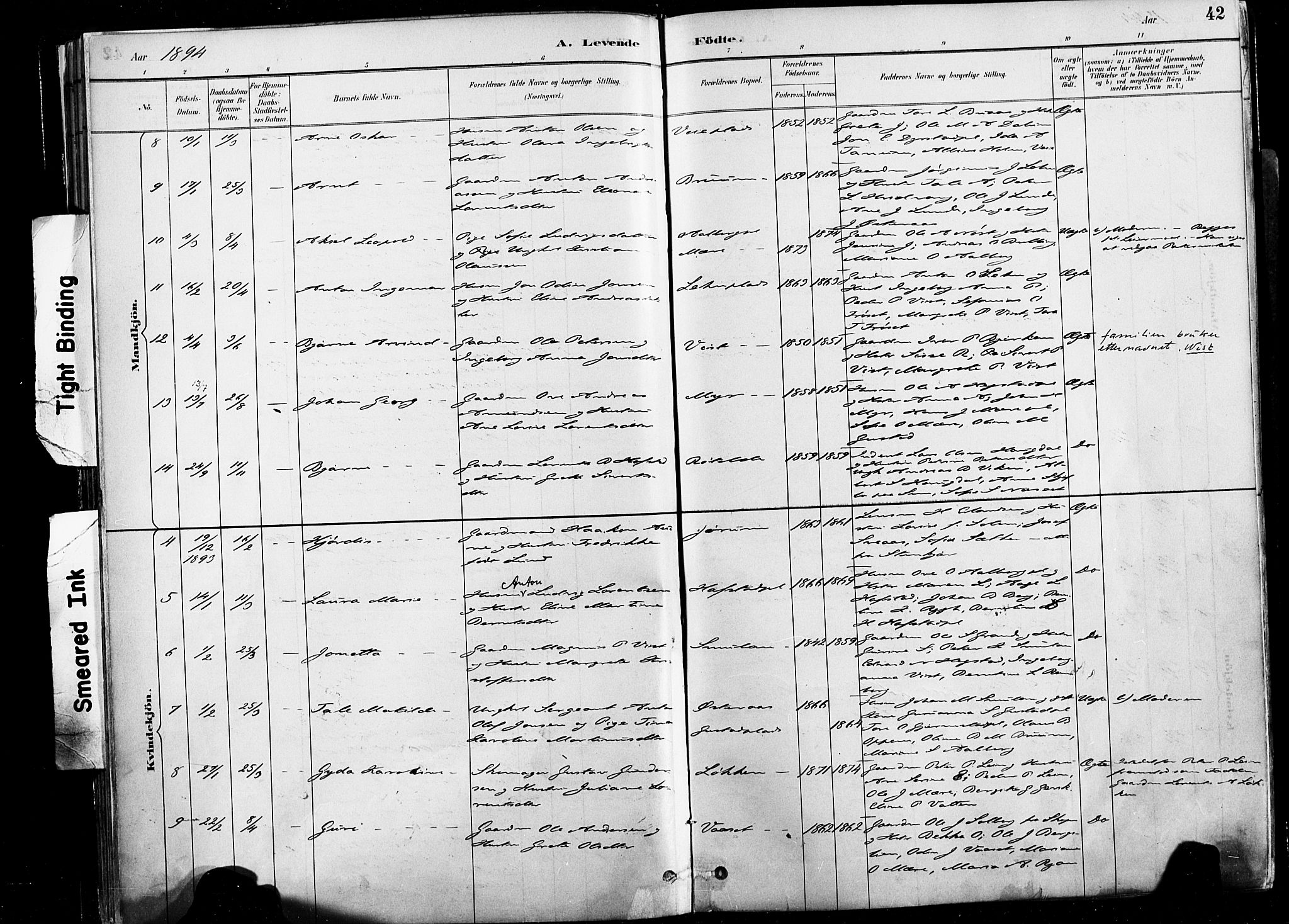 Ministerialprotokoller, klokkerbøker og fødselsregistre - Nord-Trøndelag, SAT/A-1458/735/L0351: Ministerialbok nr. 735A10, 1884-1908, s. 42