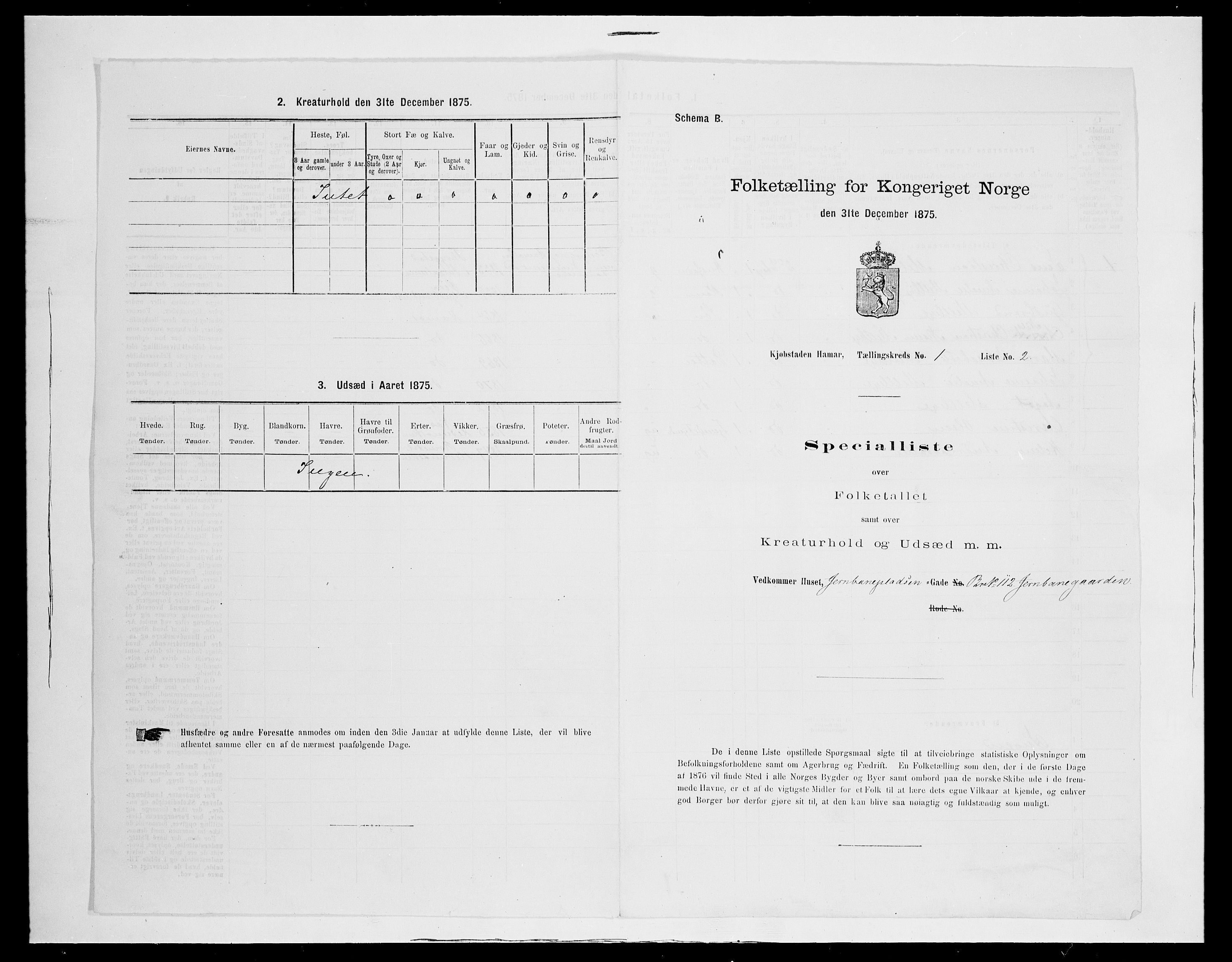 SAH, Folketelling 1875 for 0401B Vang prestegjeld, Hamar kjøpstad, 1875, s. 12