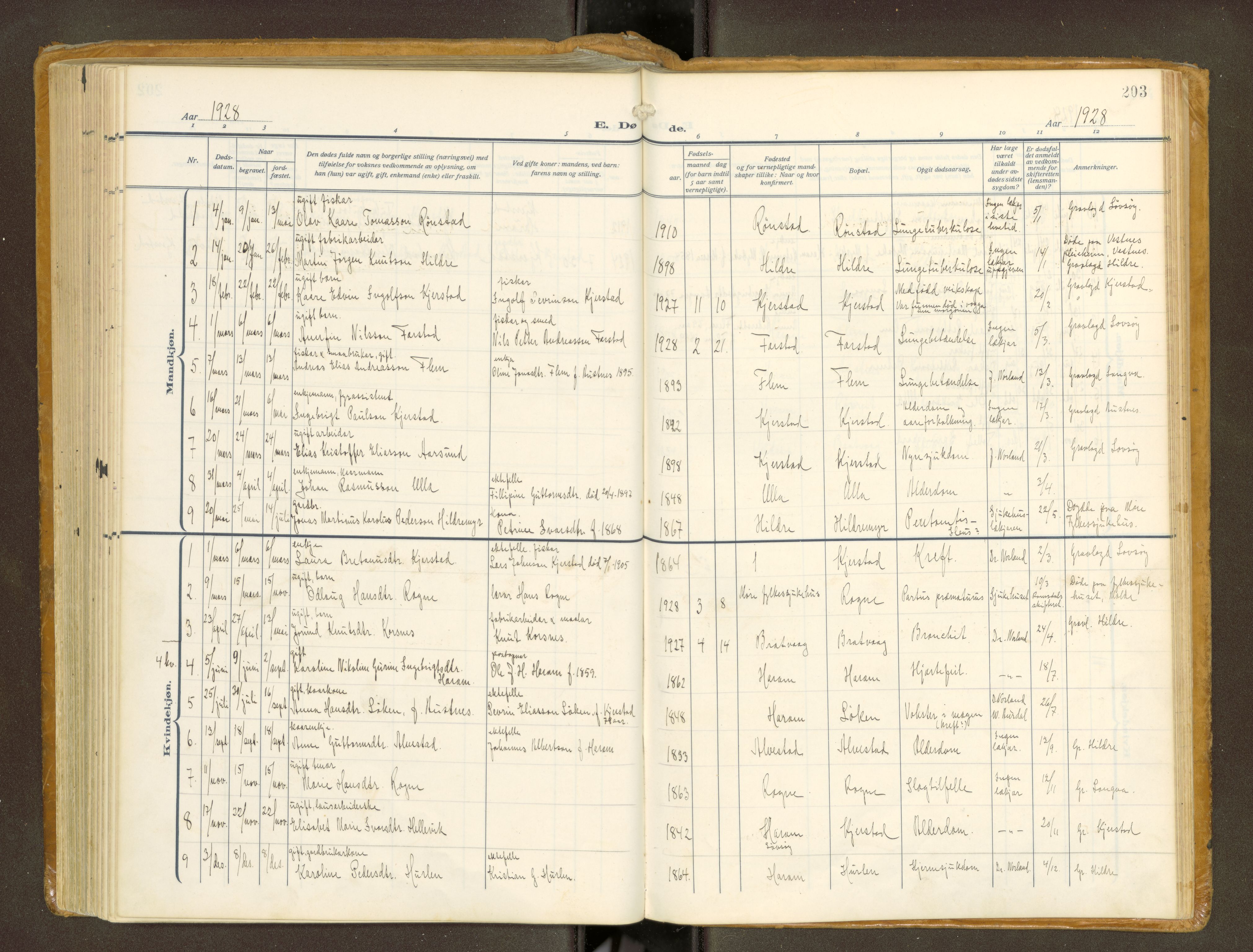 Ministerialprotokoller, klokkerbøker og fødselsregistre - Møre og Romsdal, AV/SAT-A-1454/536/L0518: Ministerialbok nr. 536A--, 1914-1931, s. 203