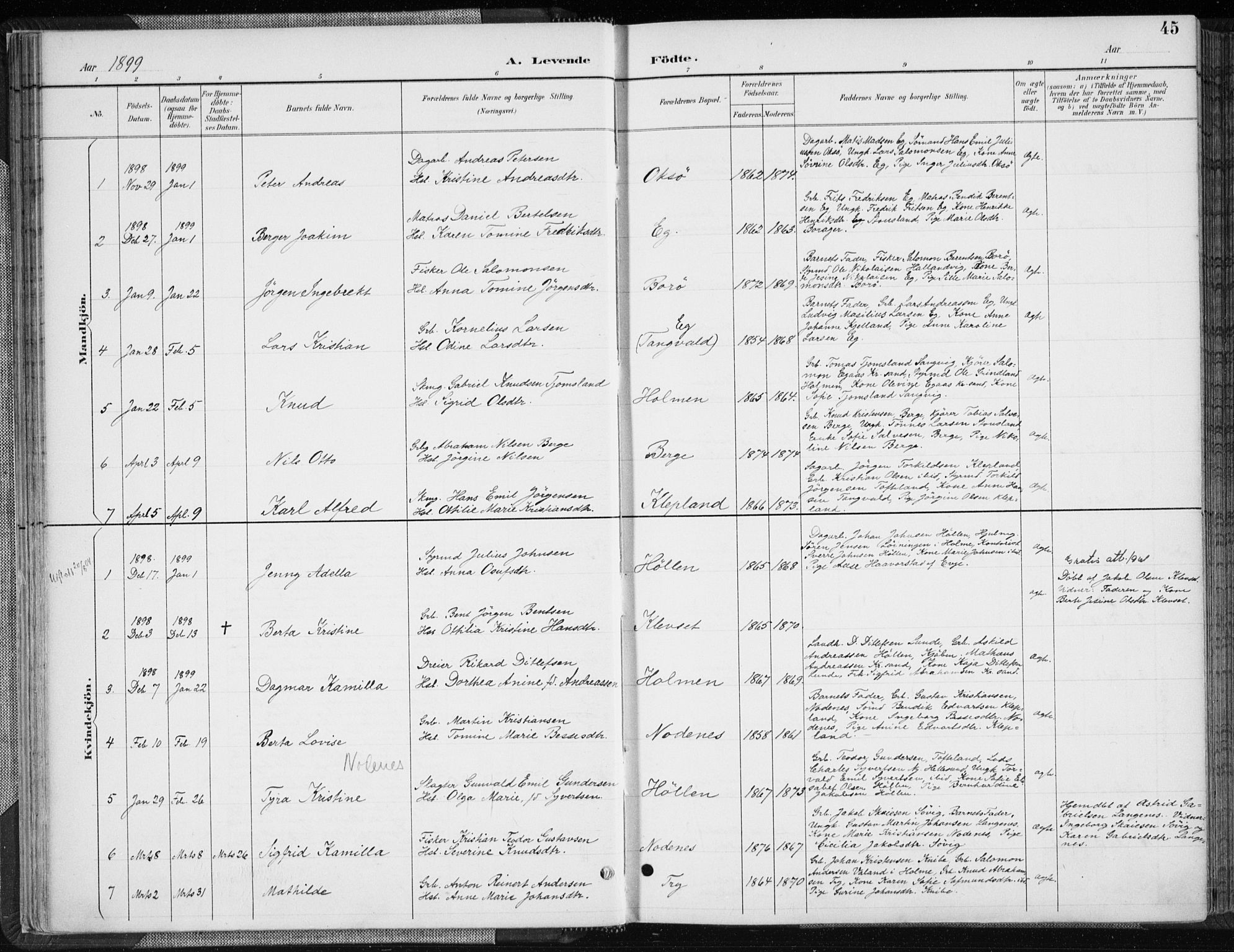 Søgne sokneprestkontor, SAK/1111-0037/F/Fa/Fab/L0013: Ministerialbok nr. A 13, 1892-1911, s. 45