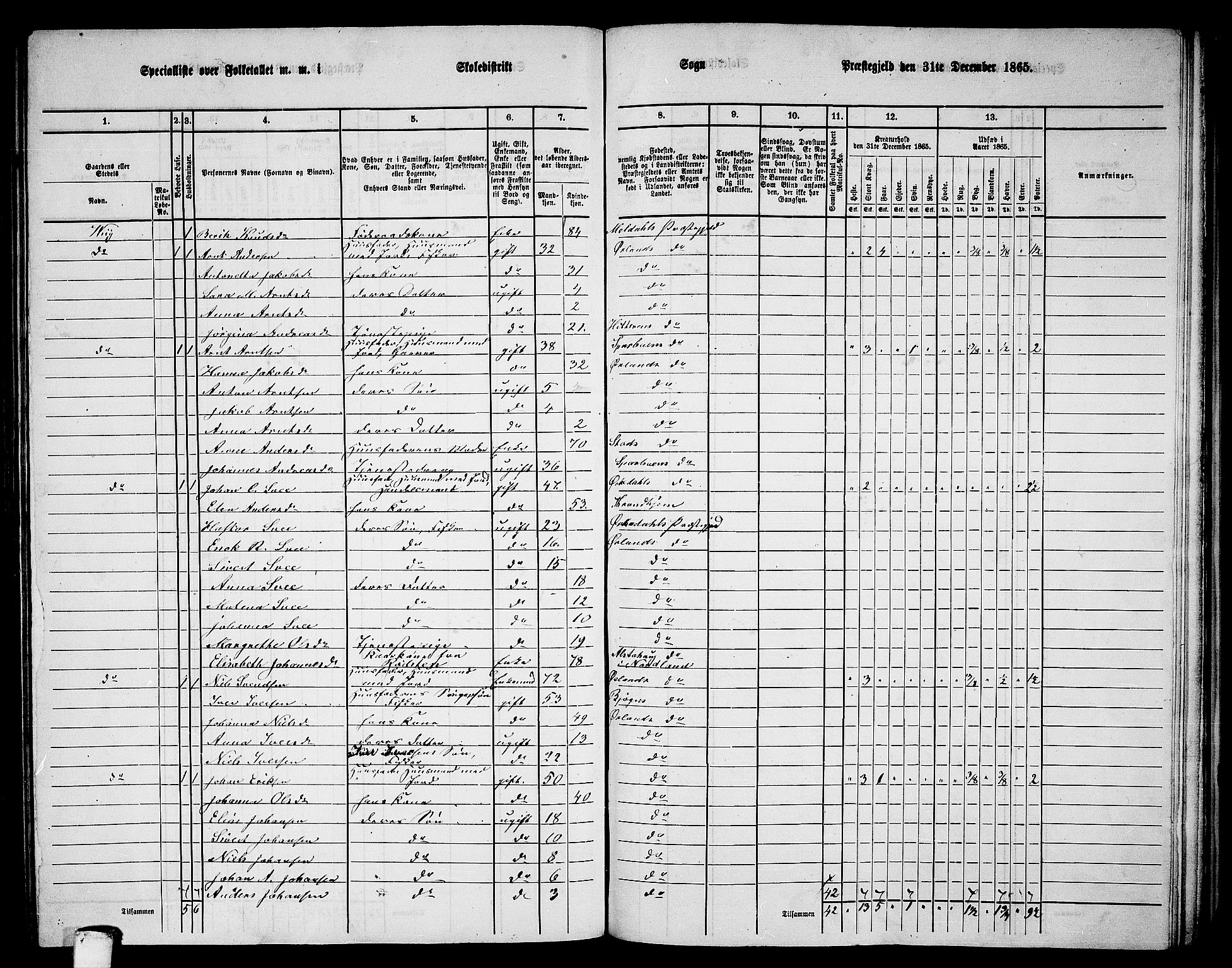 RA, Folketelling 1865 for 1621P Ørland prestegjeld, 1865, s. 109