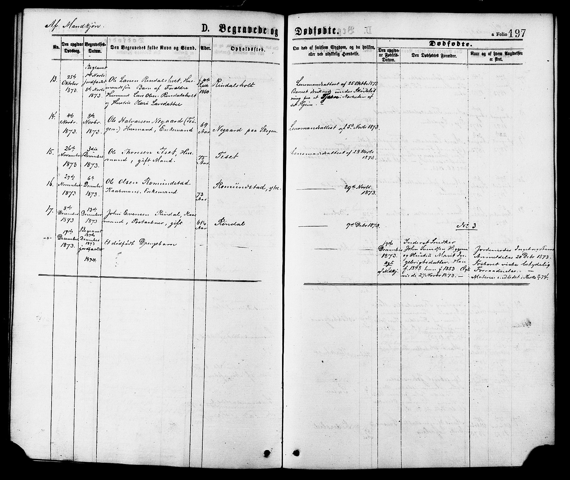 Ministerialprotokoller, klokkerbøker og fødselsregistre - Møre og Romsdal, AV/SAT-A-1454/598/L1068: Ministerialbok nr. 598A02, 1872-1881, s. 197