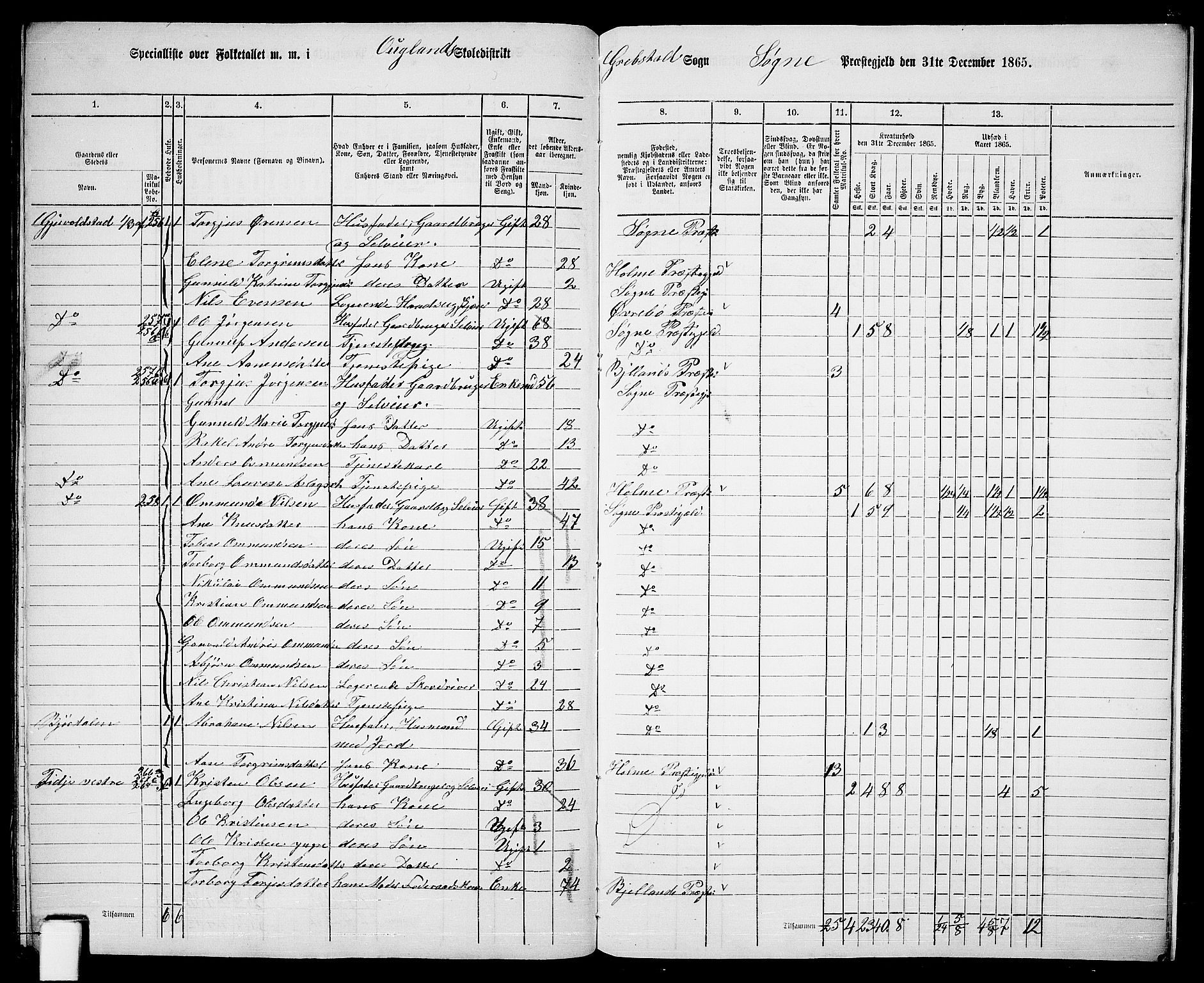 RA, Folketelling 1865 for 1018P Søgne prestegjeld, 1865, s. 148