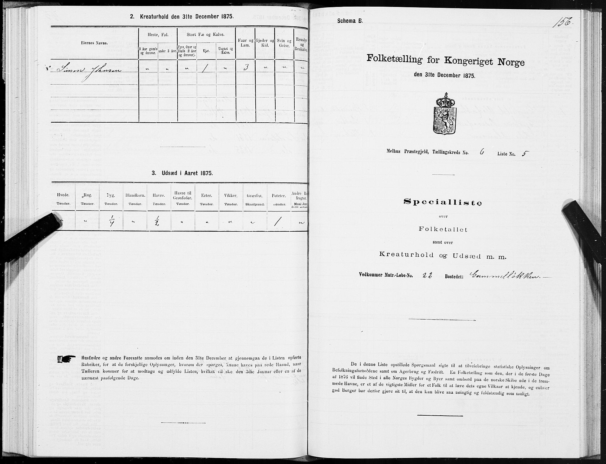SAT, Folketelling 1875 for 1653P Melhus prestegjeld, 1875, s. 4156
