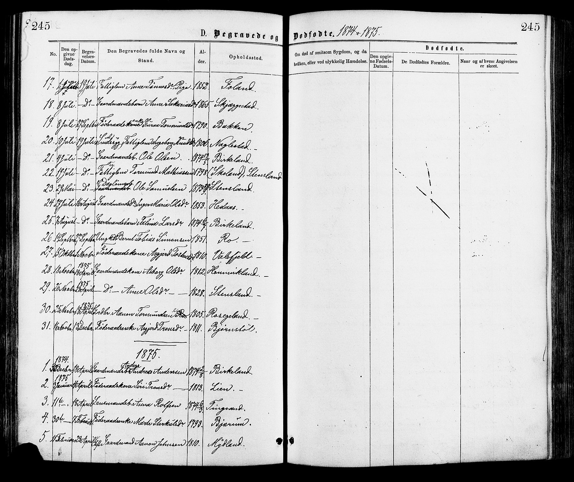 Hægebostad sokneprestkontor, AV/SAK-1111-0024/F/Fa/Faa/L0005: Ministerialbok nr. A 5, 1864-1886, s. 245