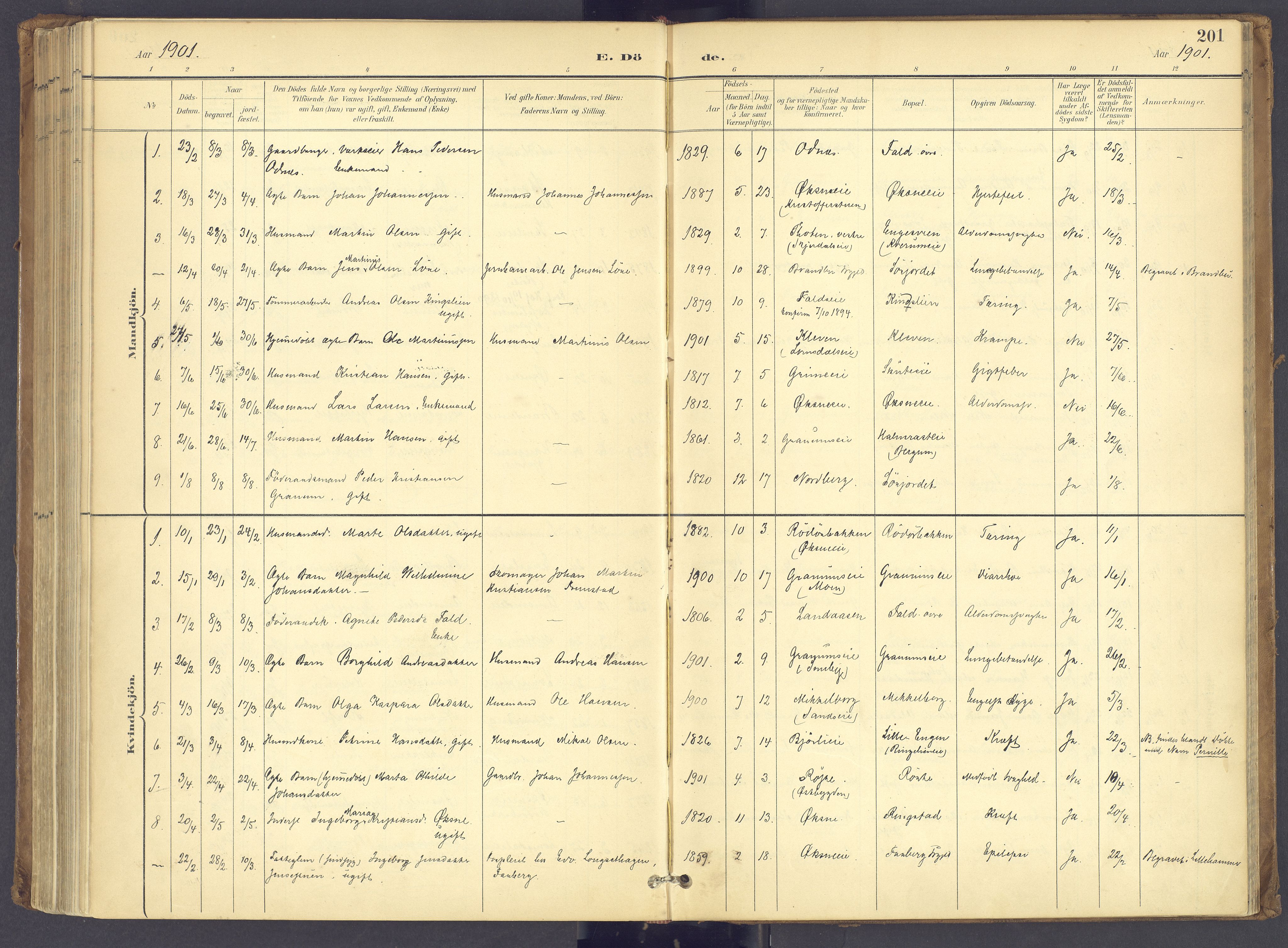 Søndre Land prestekontor, SAH/PREST-122/K/L0006: Ministerialbok nr. 6, 1895-1904, s. 201