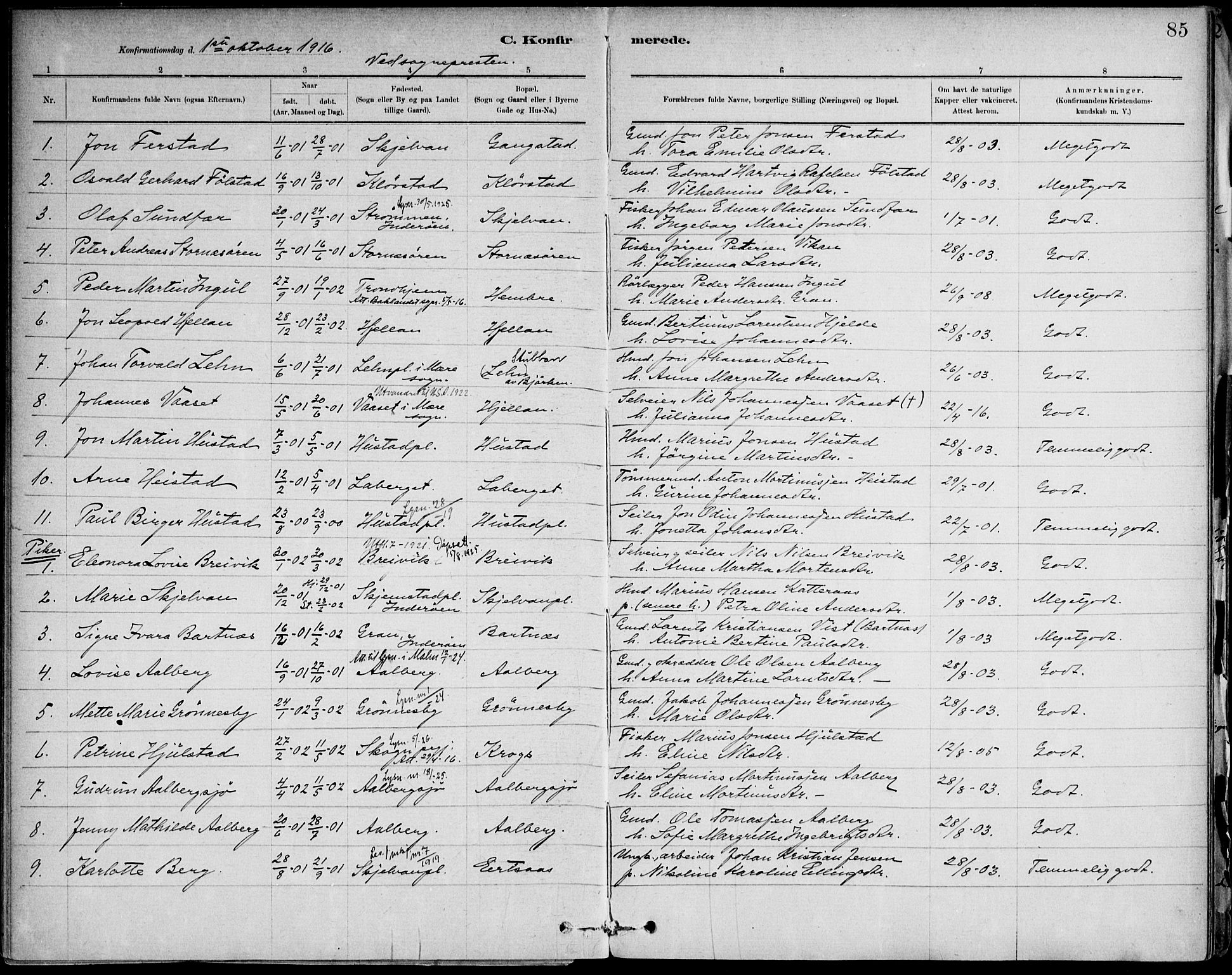 Ministerialprotokoller, klokkerbøker og fødselsregistre - Nord-Trøndelag, AV/SAT-A-1458/732/L0316: Ministerialbok nr. 732A01, 1879-1921, s. 85