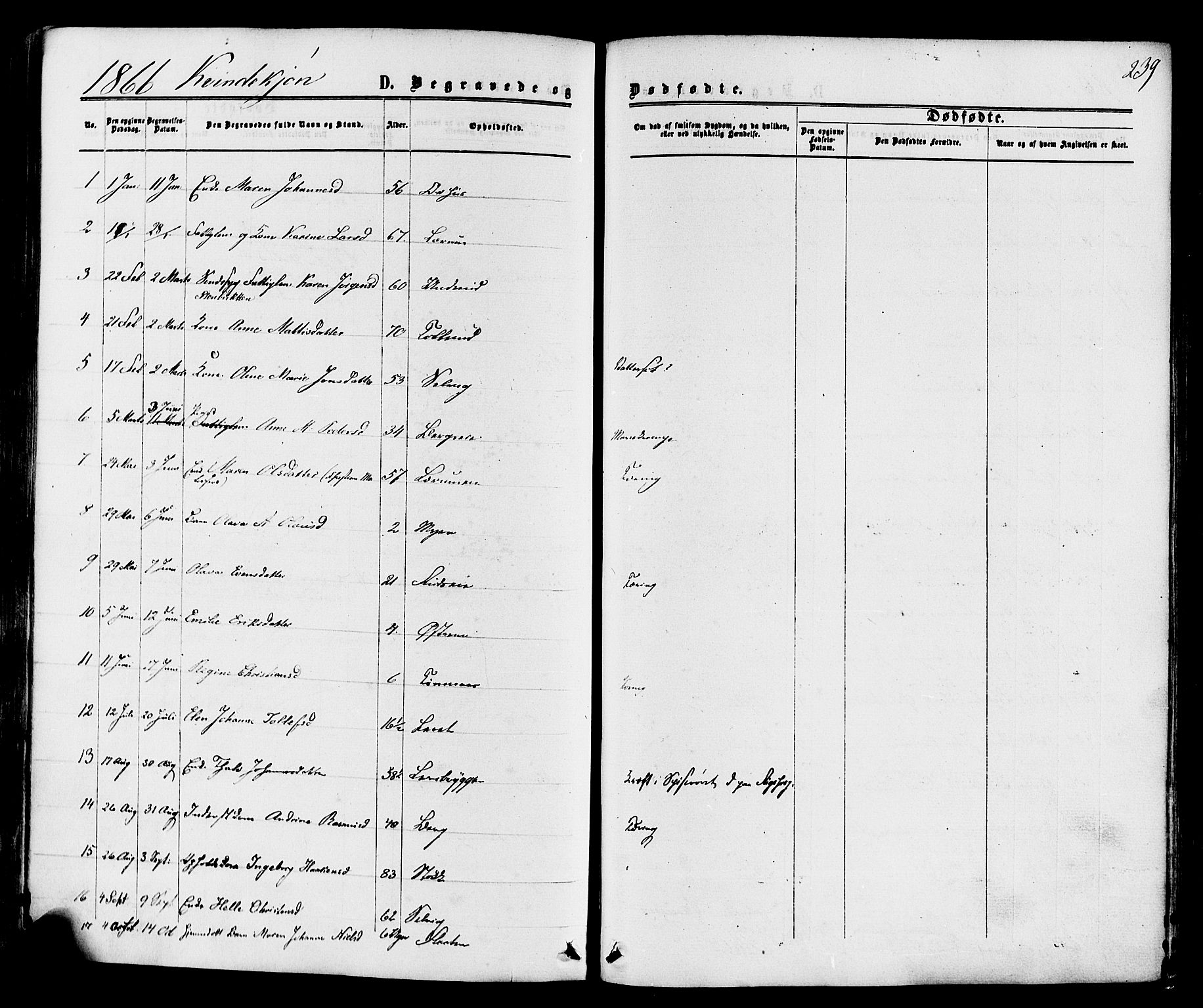Sande Kirkebøker, AV/SAKO-A-53/F/Fa/L0005: Ministerialbok nr. 5, 1865-1877, s. 239