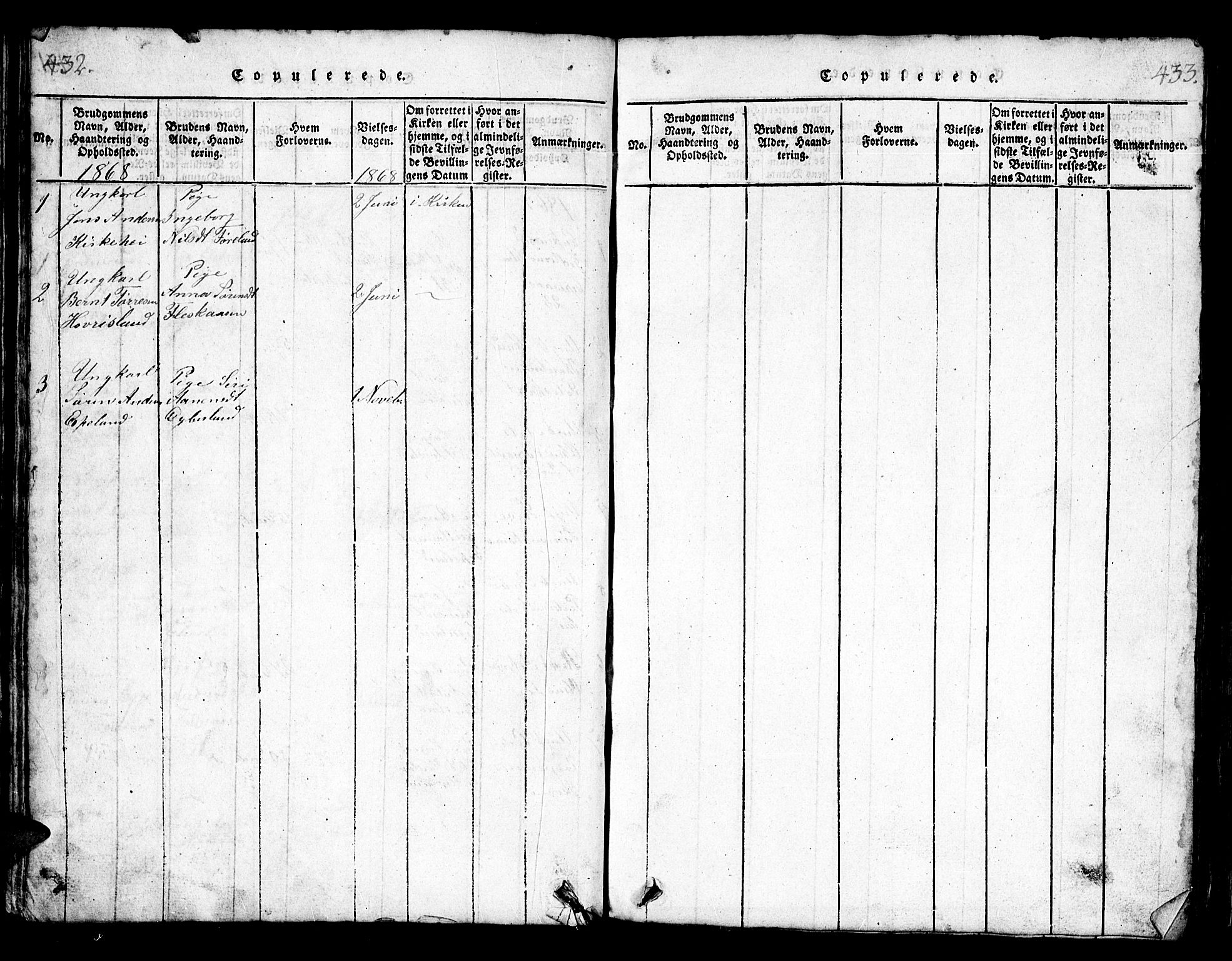 Bjelland sokneprestkontor, AV/SAK-1111-0005/F/Fb/Fbb/L0003: Klokkerbok nr. B 3, 1816-1868, s. 432-433