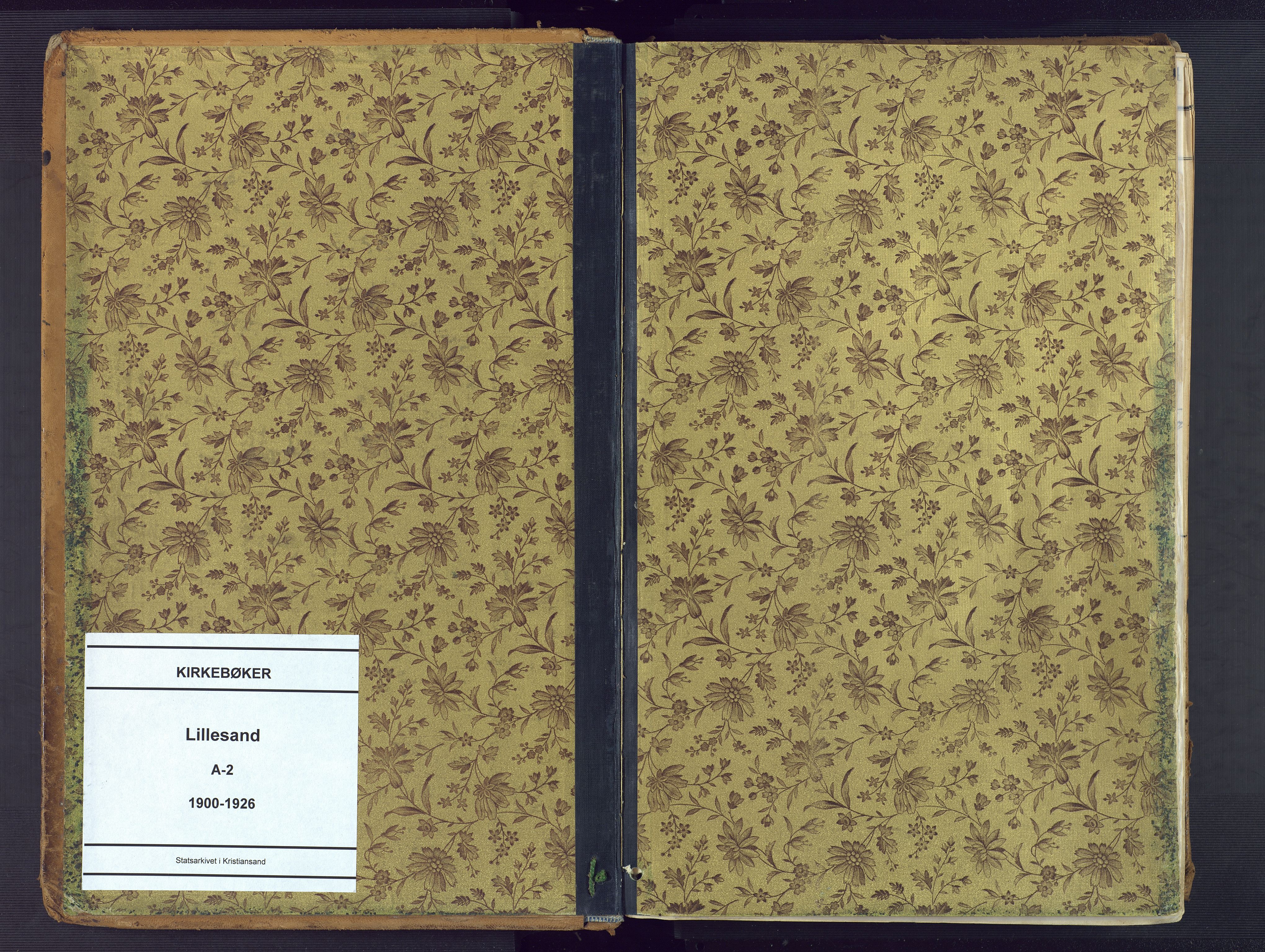 Vestre Moland sokneprestkontor, SAK/1111-0046/F/Fa/Faa/L0002: Ministerialbok nr. A 2, 1900-1926