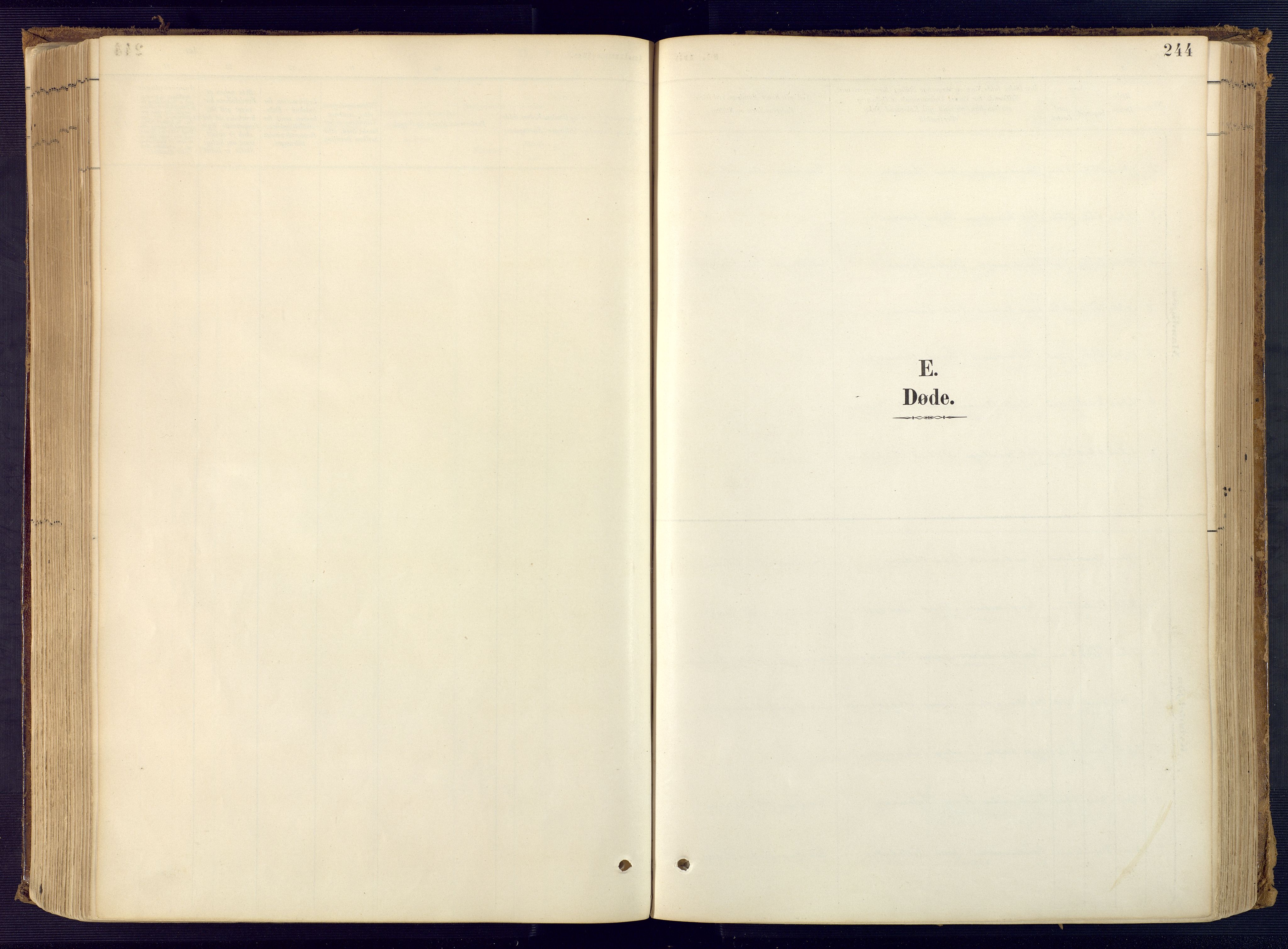Bjelland sokneprestkontor, SAK/1111-0005/F/Fa/Faa/L0004: Ministerialbok nr. A 4, 1887-1923, s. 244