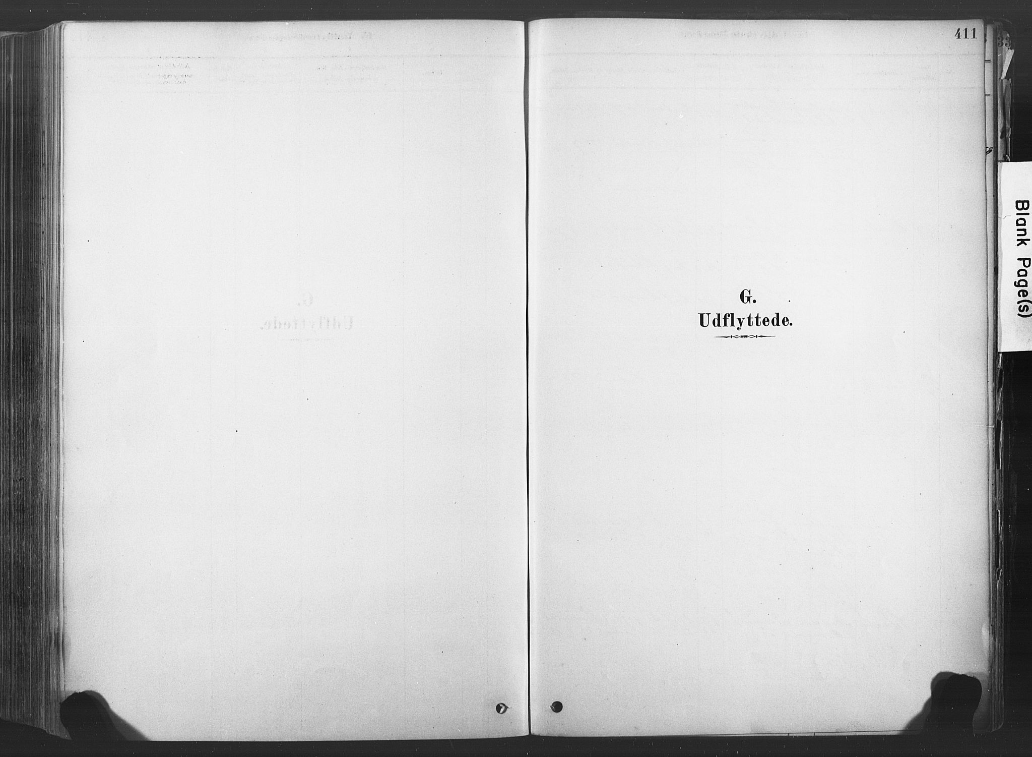 Sandsvær kirkebøker, SAKO/A-244/F/Fd/L0001: Ministerialbok nr. IV 1, 1878-1906, s. 411