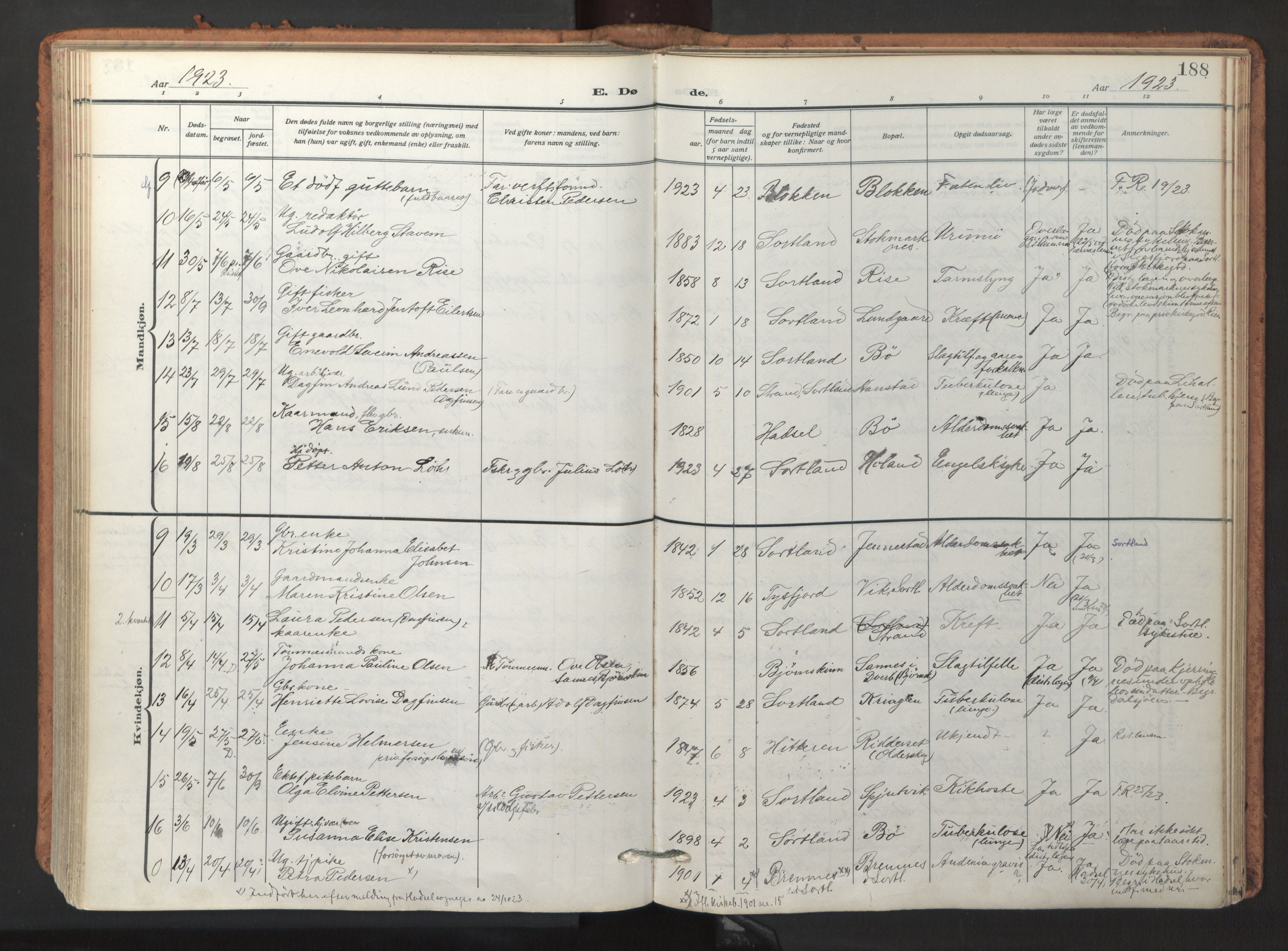 Ministerialprotokoller, klokkerbøker og fødselsregistre - Nordland, AV/SAT-A-1459/895/L1374: Ministerialbok nr. 895A09, 1915-1925, s. 188