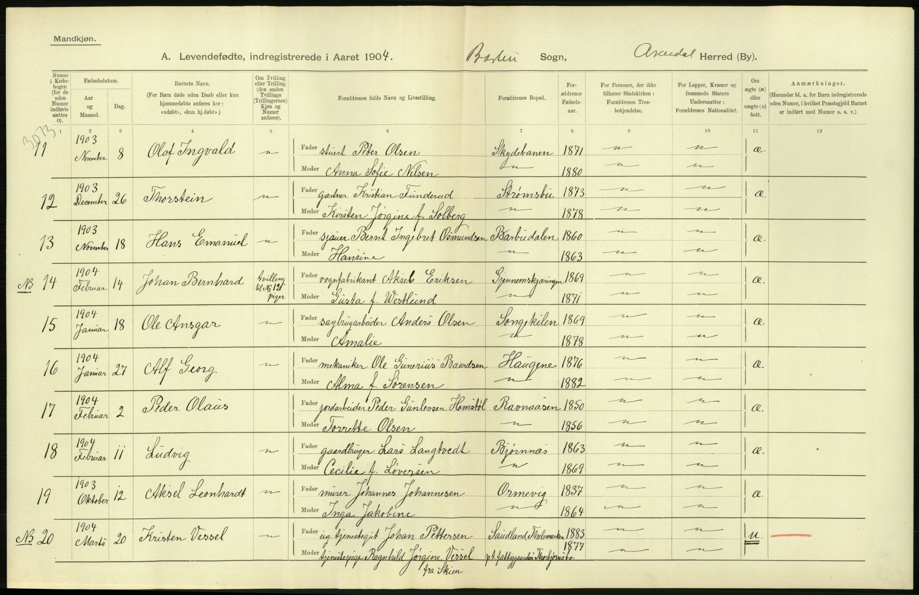 Statistisk sentralbyrå, Sosiodemografiske emner, Befolkning, AV/RA-S-2228/D/Df/Dfa/Dfab/L0010: Nedenes amt: Fødte, gifte, døde, 1904, s. 260