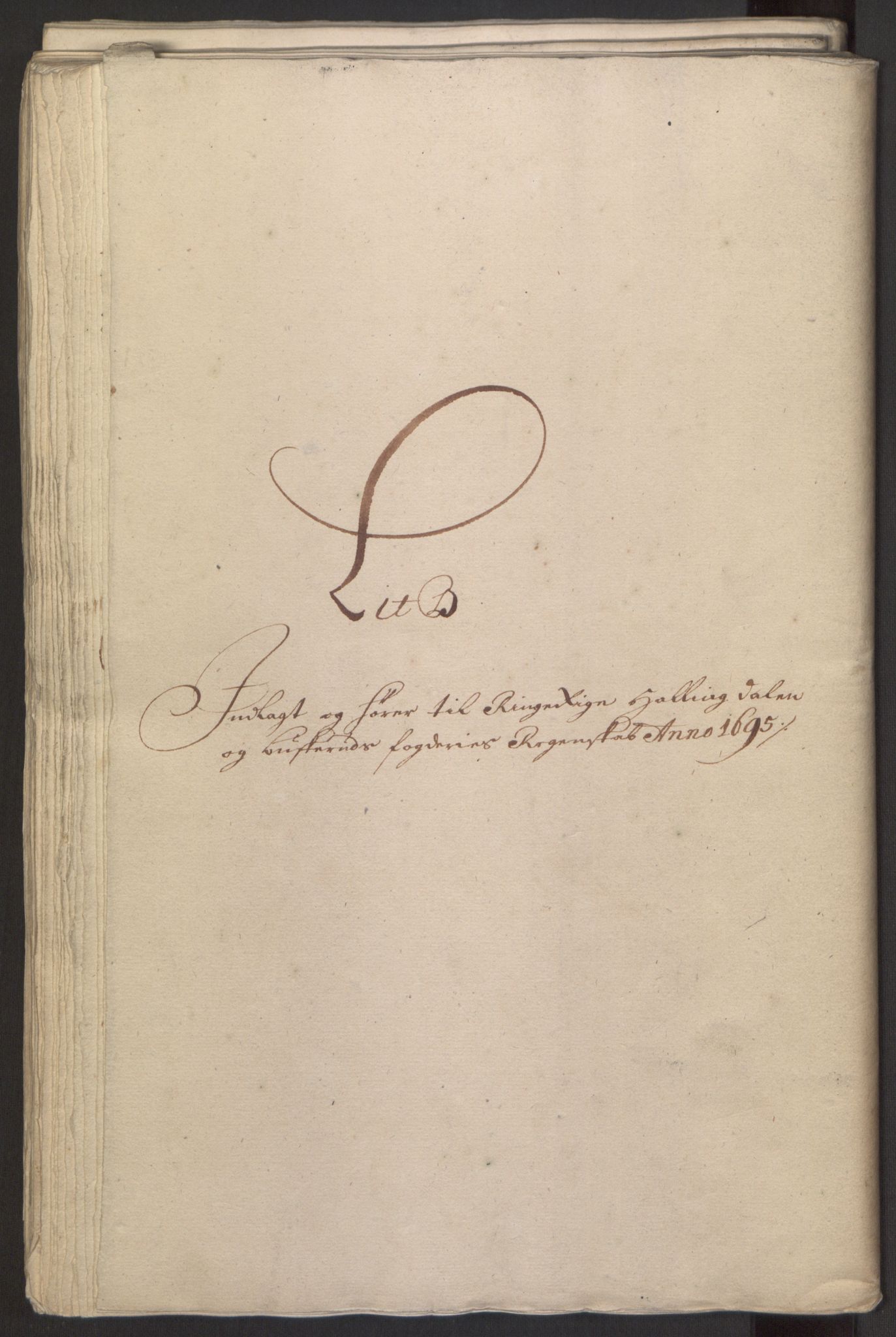 Rentekammeret inntil 1814, Reviderte regnskaper, Fogderegnskap, AV/RA-EA-4092/R22/L1452: Fogderegnskap Ringerike, Hallingdal og Buskerud, 1695, s. 213