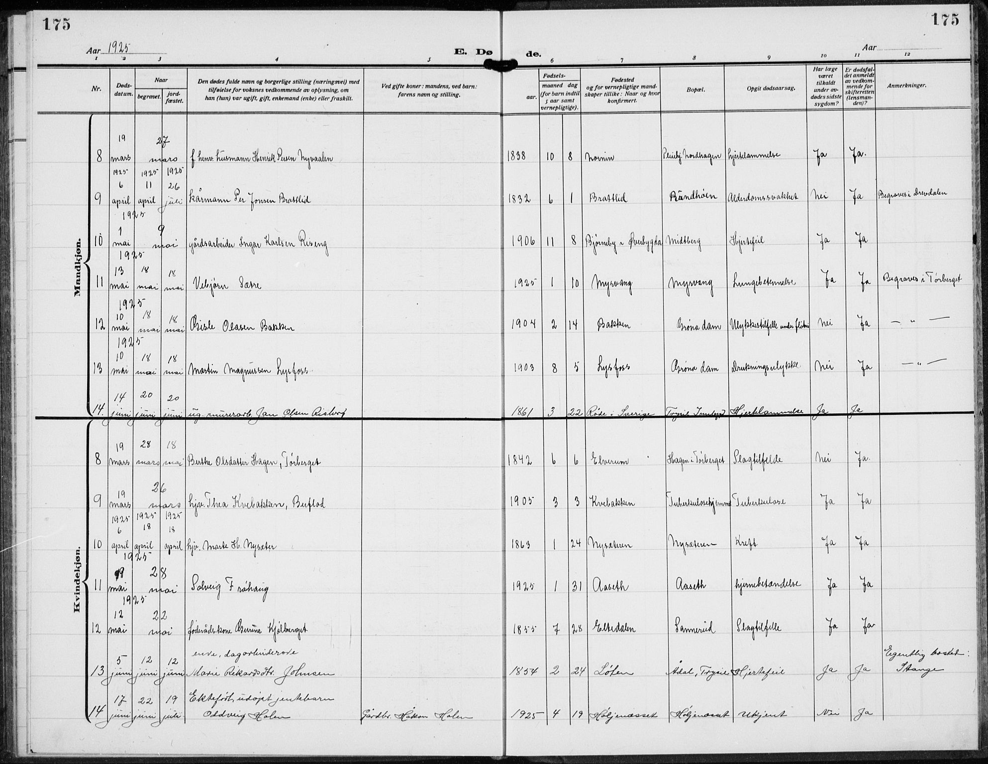 Trysil prestekontor, AV/SAH-PREST-046/H/Ha/Hab/L0010: Klokkerbok nr. 10, 1917-1937, s. 175