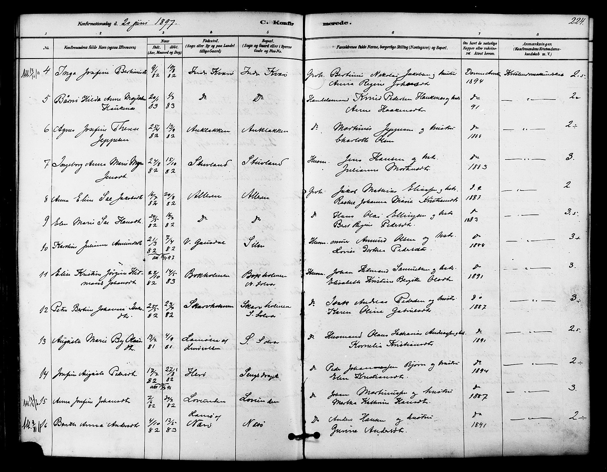 Ministerialprotokoller, klokkerbøker og fødselsregistre - Nordland, SAT/A-1459/839/L0568: Ministerialbok nr. 839A05, 1880-1902, s. 224