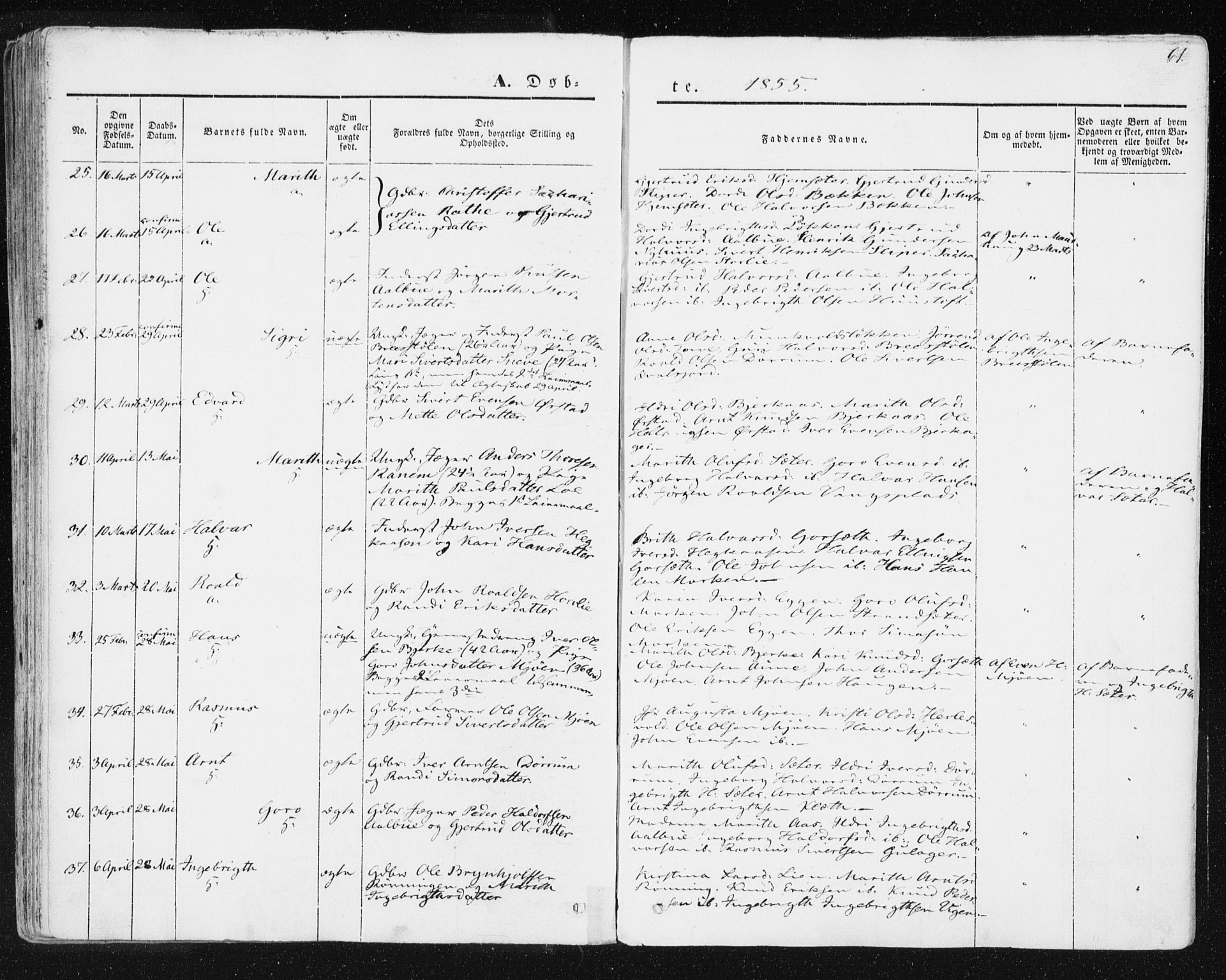 Ministerialprotokoller, klokkerbøker og fødselsregistre - Sør-Trøndelag, SAT/A-1456/678/L0899: Ministerialbok nr. 678A08, 1848-1872, s. 61