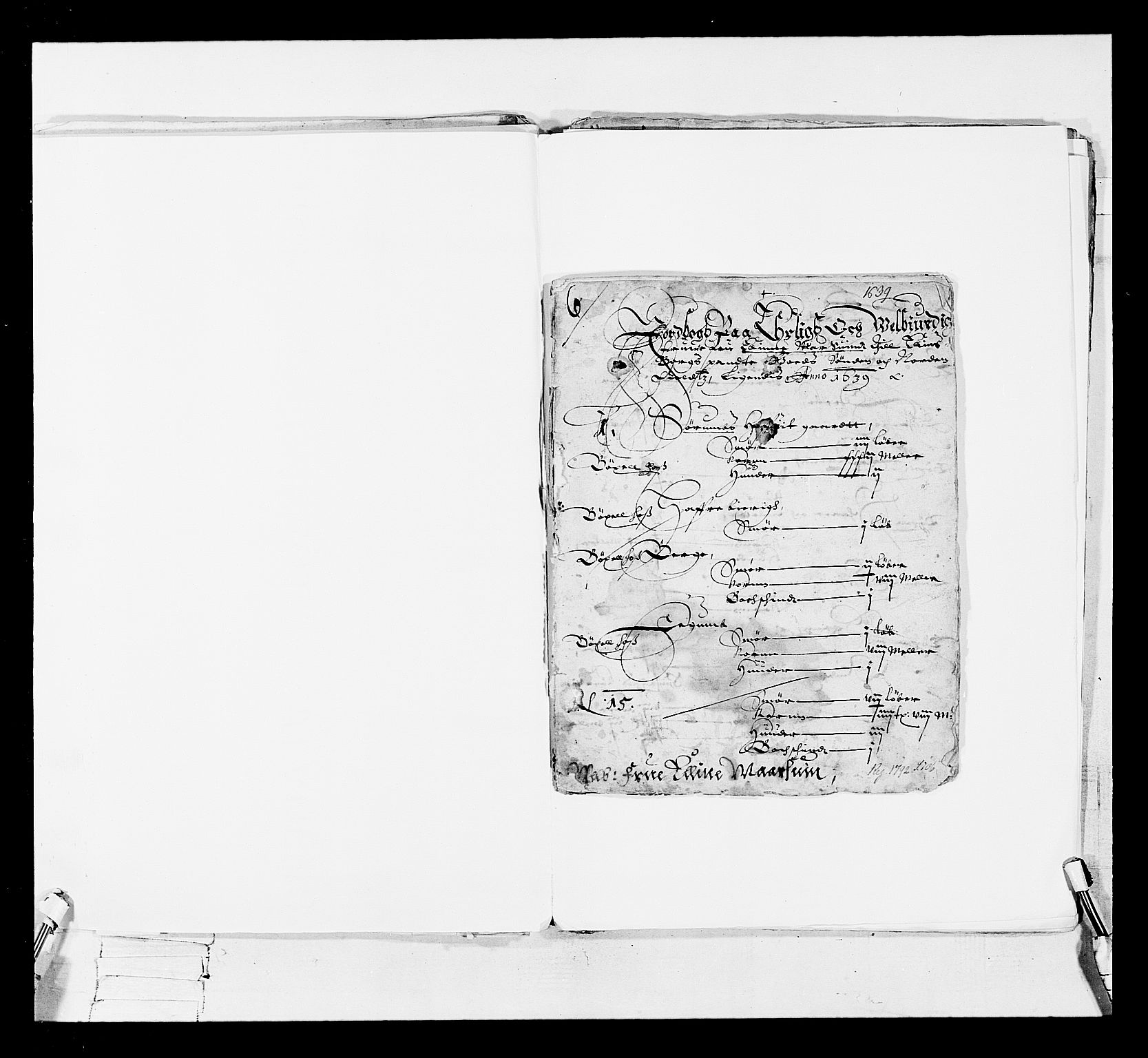 Stattholderembetet 1572-1771, RA/EA-2870/Ek/L0017/0001: Jordebøker 1633-1658: / Adelsjordebøker, 1633-1639, s. 203