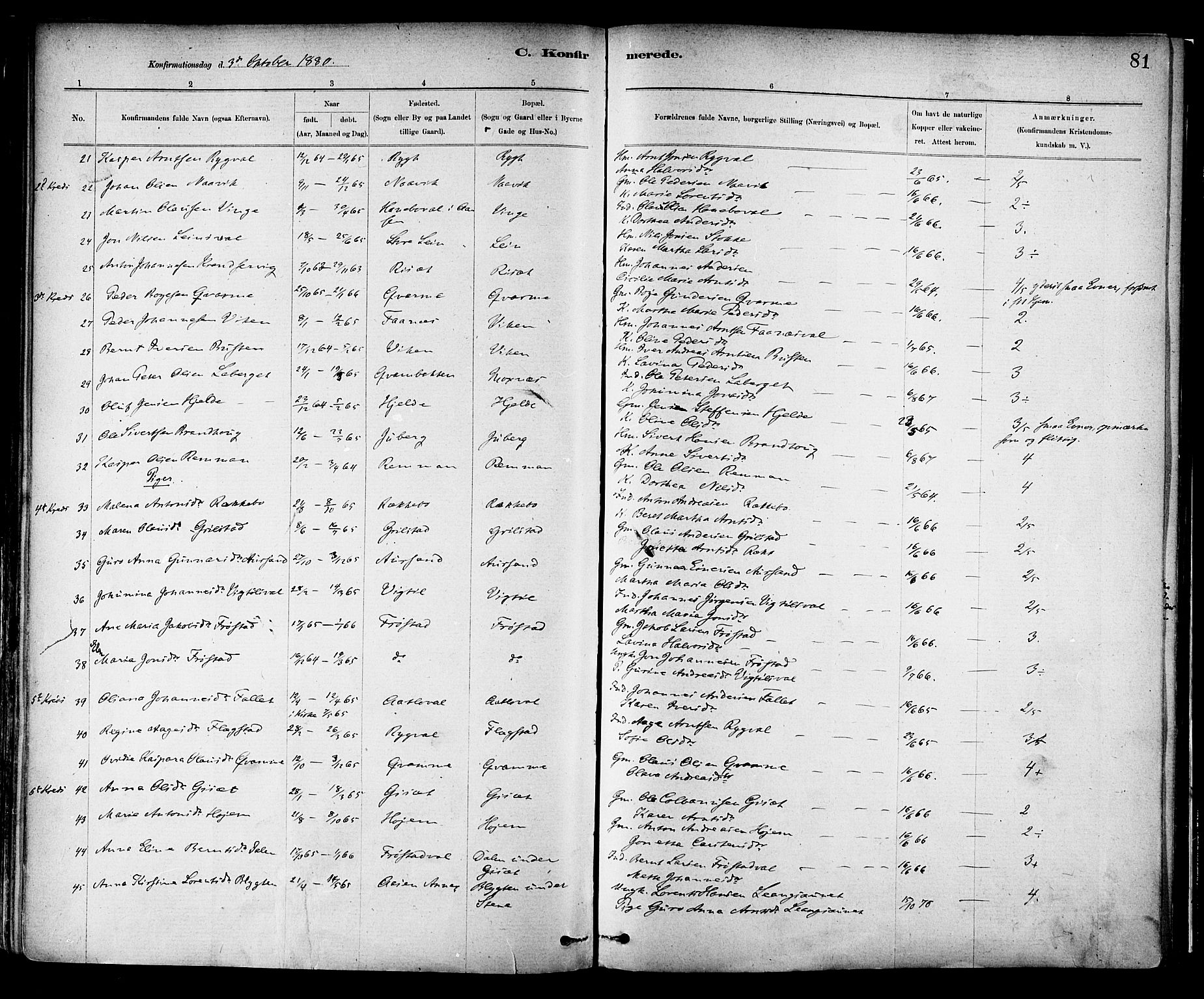 Ministerialprotokoller, klokkerbøker og fødselsregistre - Nord-Trøndelag, SAT/A-1458/713/L0120: Ministerialbok nr. 713A09, 1878-1887, s. 81
