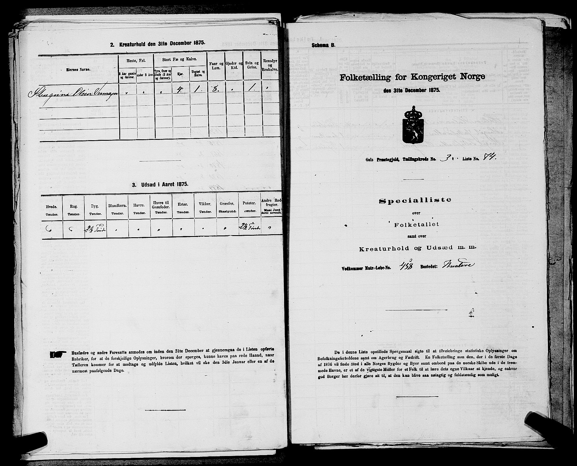 SAKO, Folketelling 1875 for 0617P Gol prestegjeld, 1875, s. 586