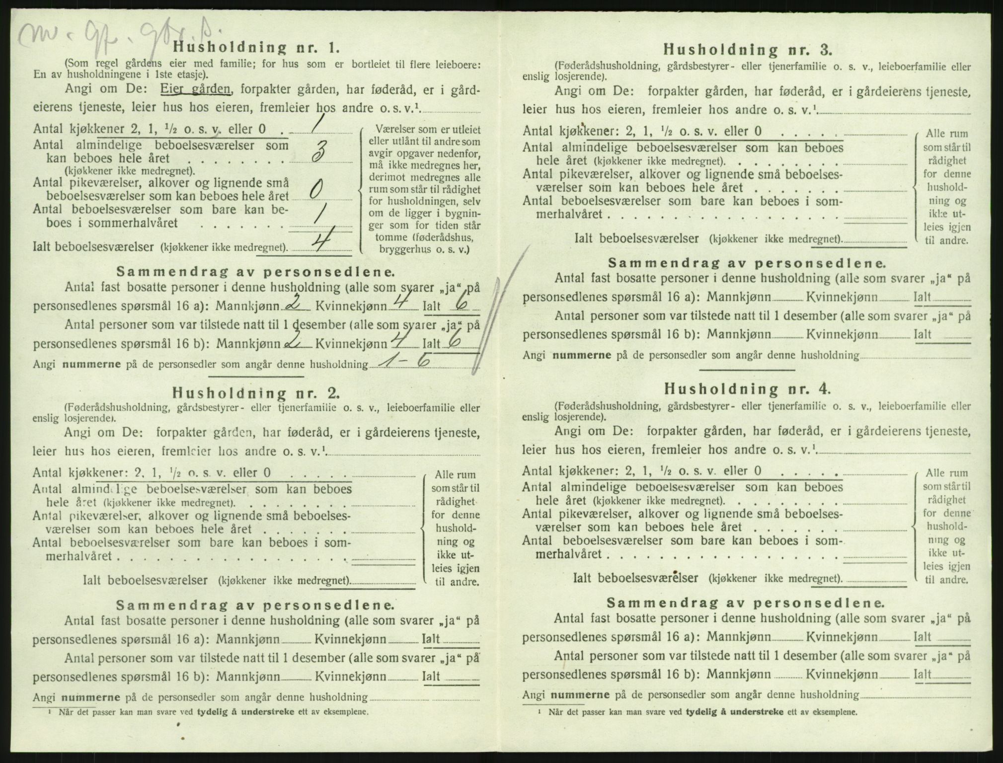 SAKO, Folketelling 1920 for 0727 Hedrum herred, 1920, s. 1008