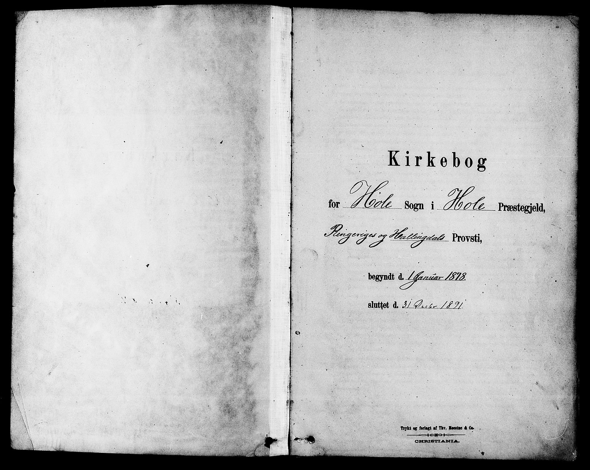 Hole kirkebøker, SAKO/A-228/F/Fa/L0008: Ministerialbok nr. I 8, 1878-1891