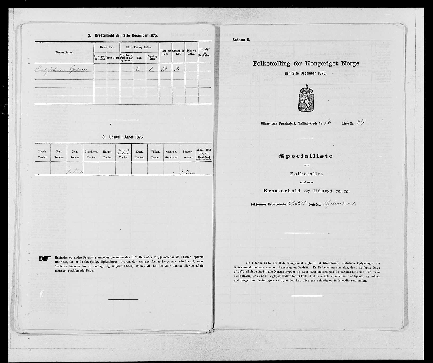 SAB, Folketelling 1875 for 1230P Ullensvang prestegjeld, 1875, s. 575