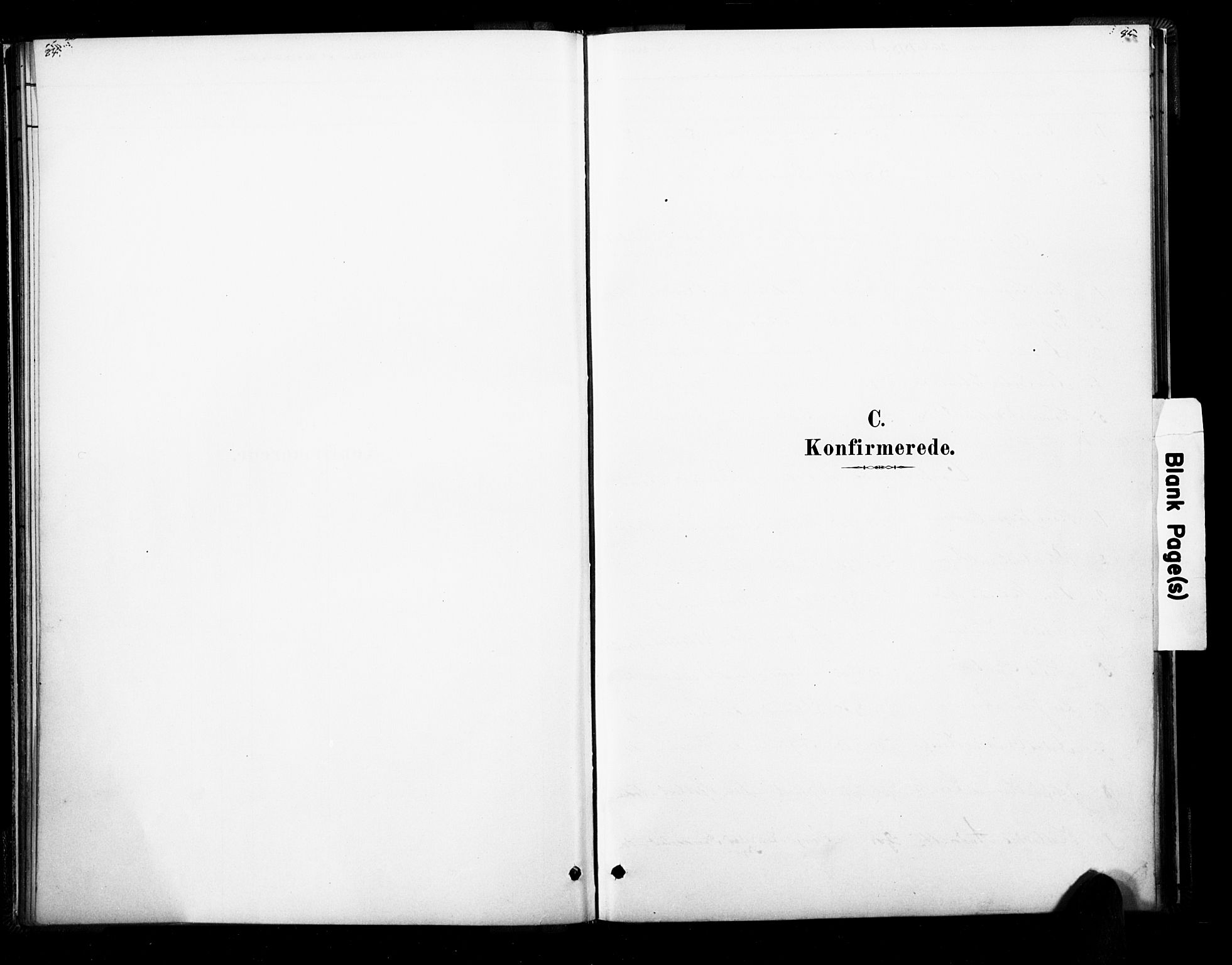 Ramnes kirkebøker, SAKO/A-314/F/Fb/L0001: Ministerialbok nr. II 1, 1878-1894, s. 84-85