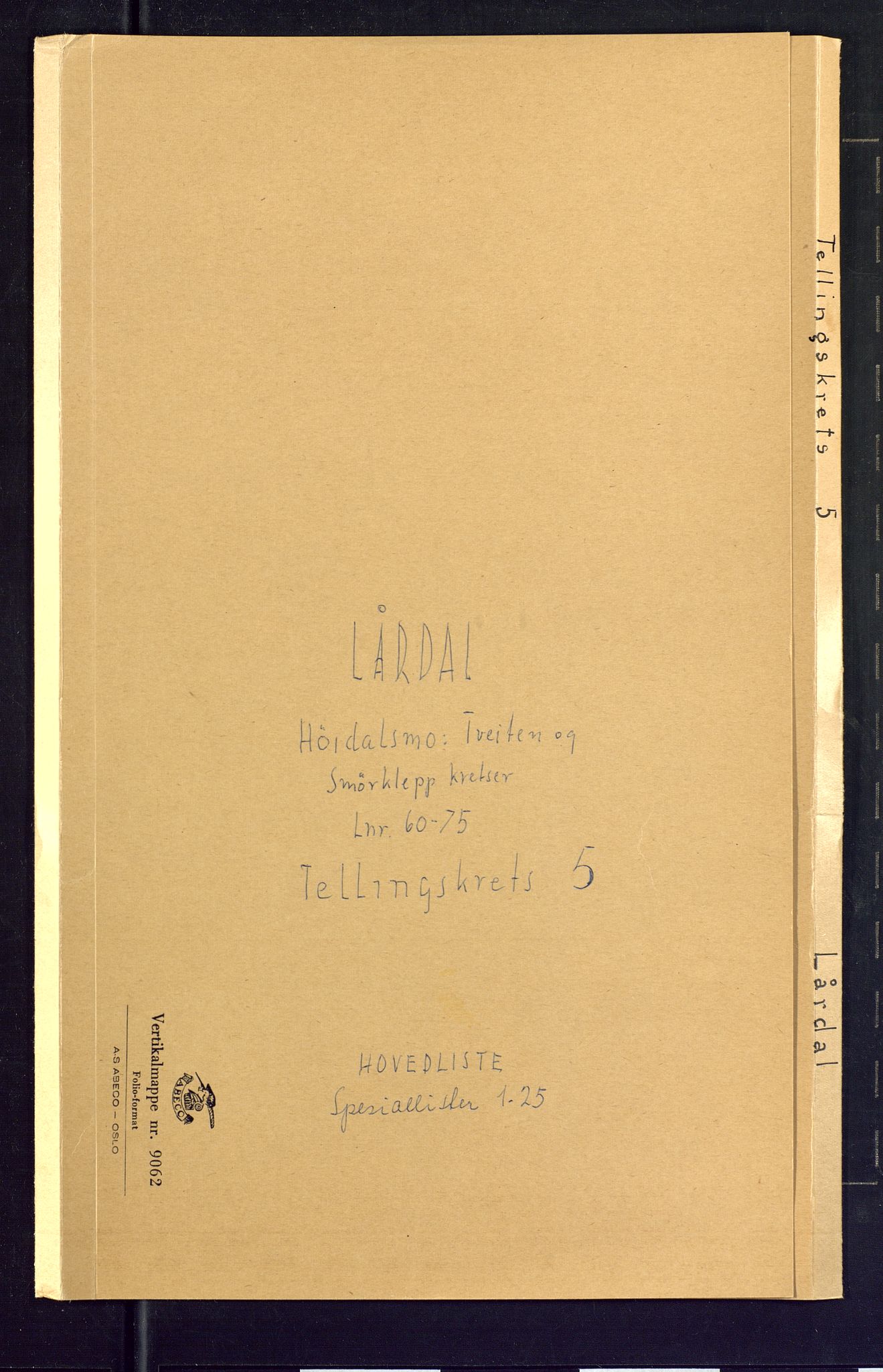 SAKO, Folketelling 1875 for 0833P Lårdal prestegjeld, 1875, s. 21