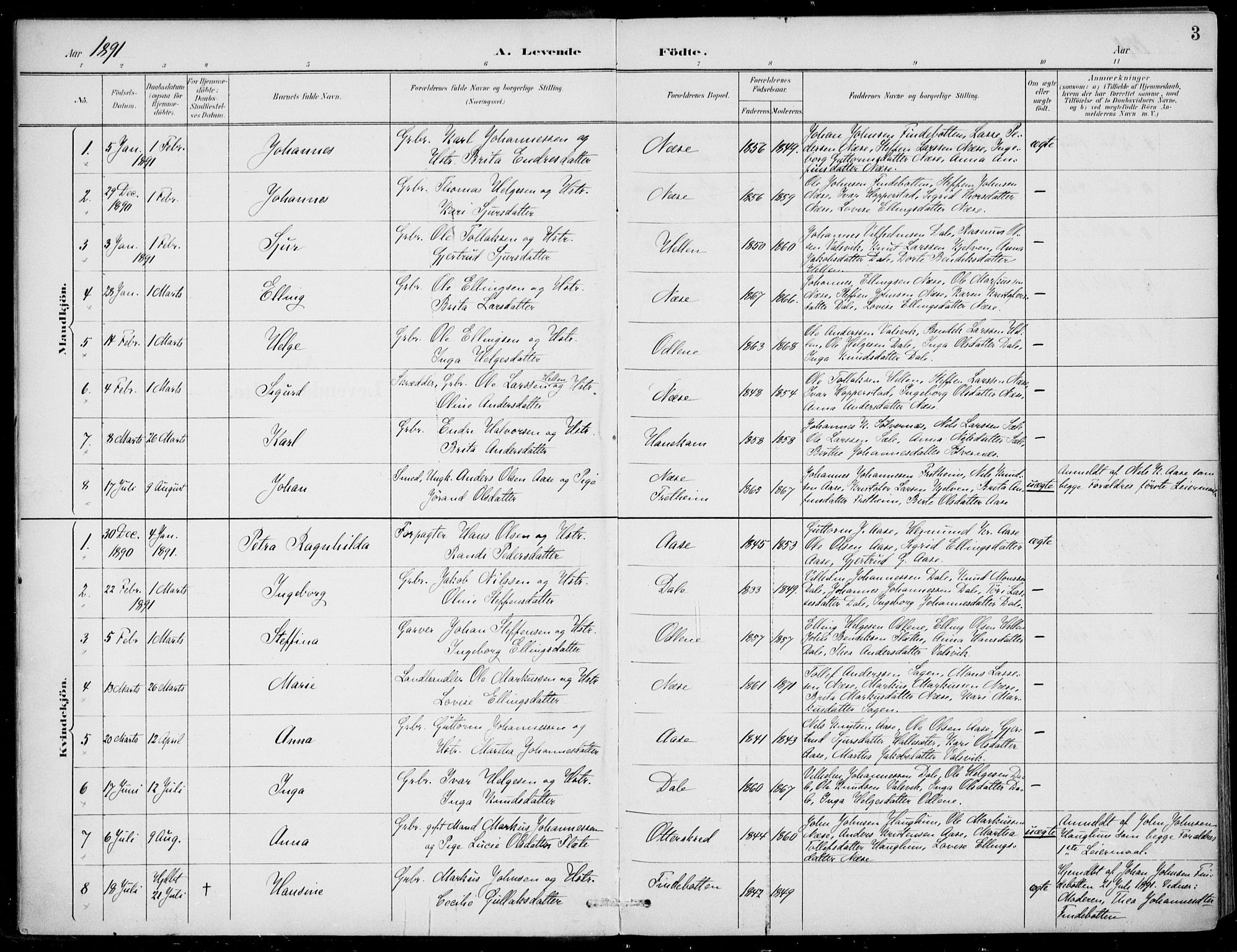 Vik sokneprestembete, AV/SAB-A-81501/H/Haa/Haac/L0002: Ministerialbok nr. C  2, 1891-1910, s. 3