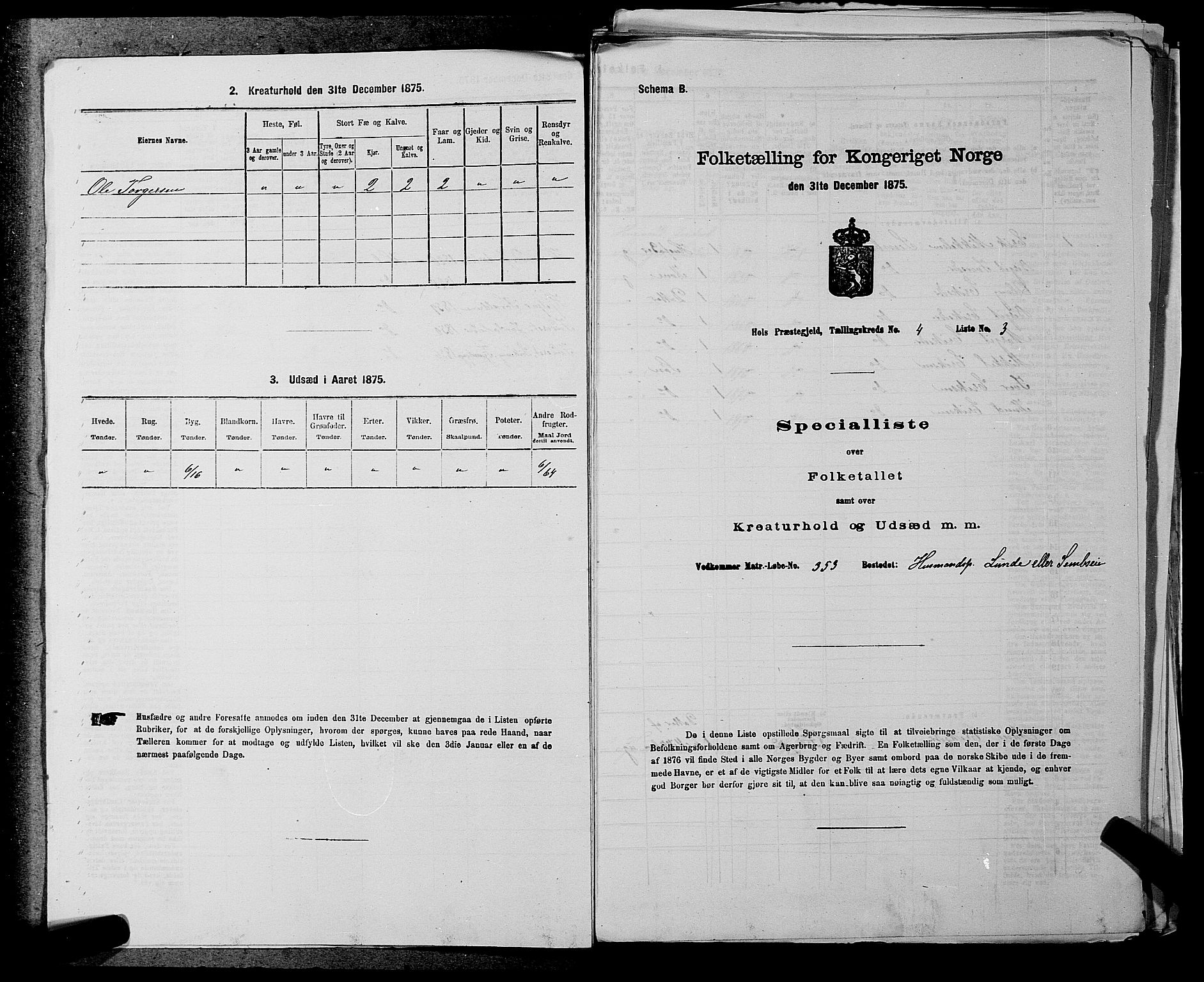 SAKO, Folketelling 1875 for 0620P Hol prestegjeld, 1875, s. 434