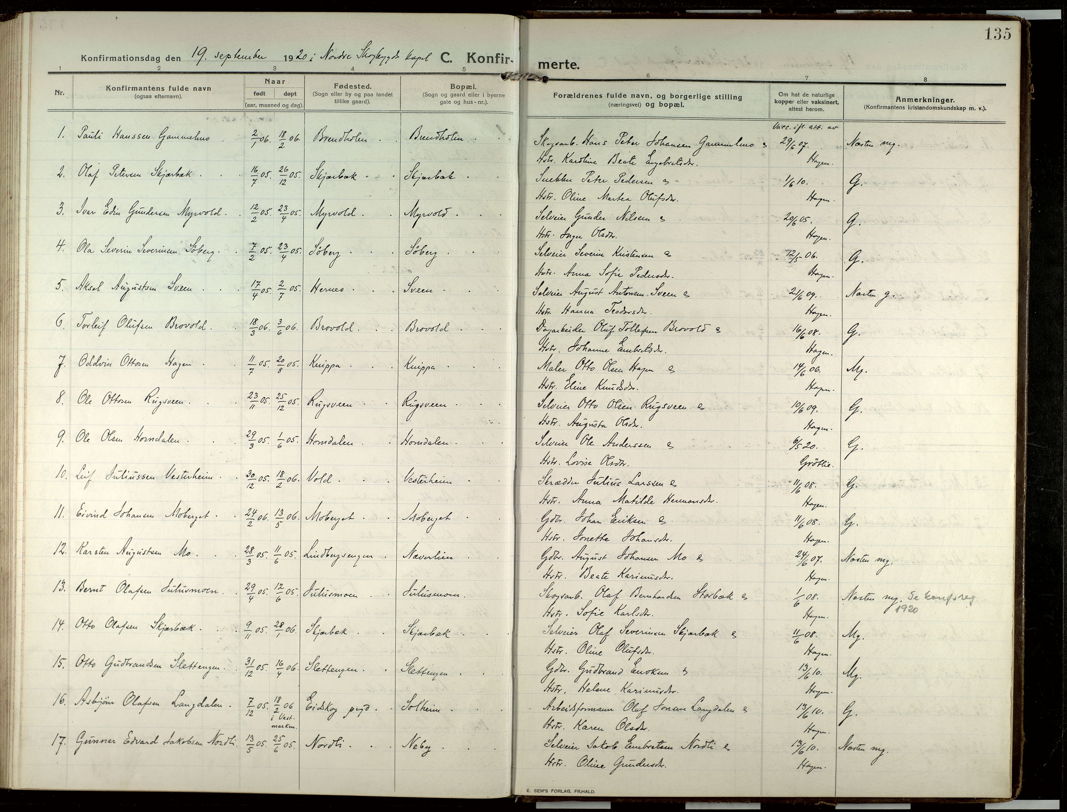 Elverum prestekontor, AV/SAH-PREST-044/H/Ha/Haa/L0022: Ministerialbok nr. 22, 1913-1924, s. 135