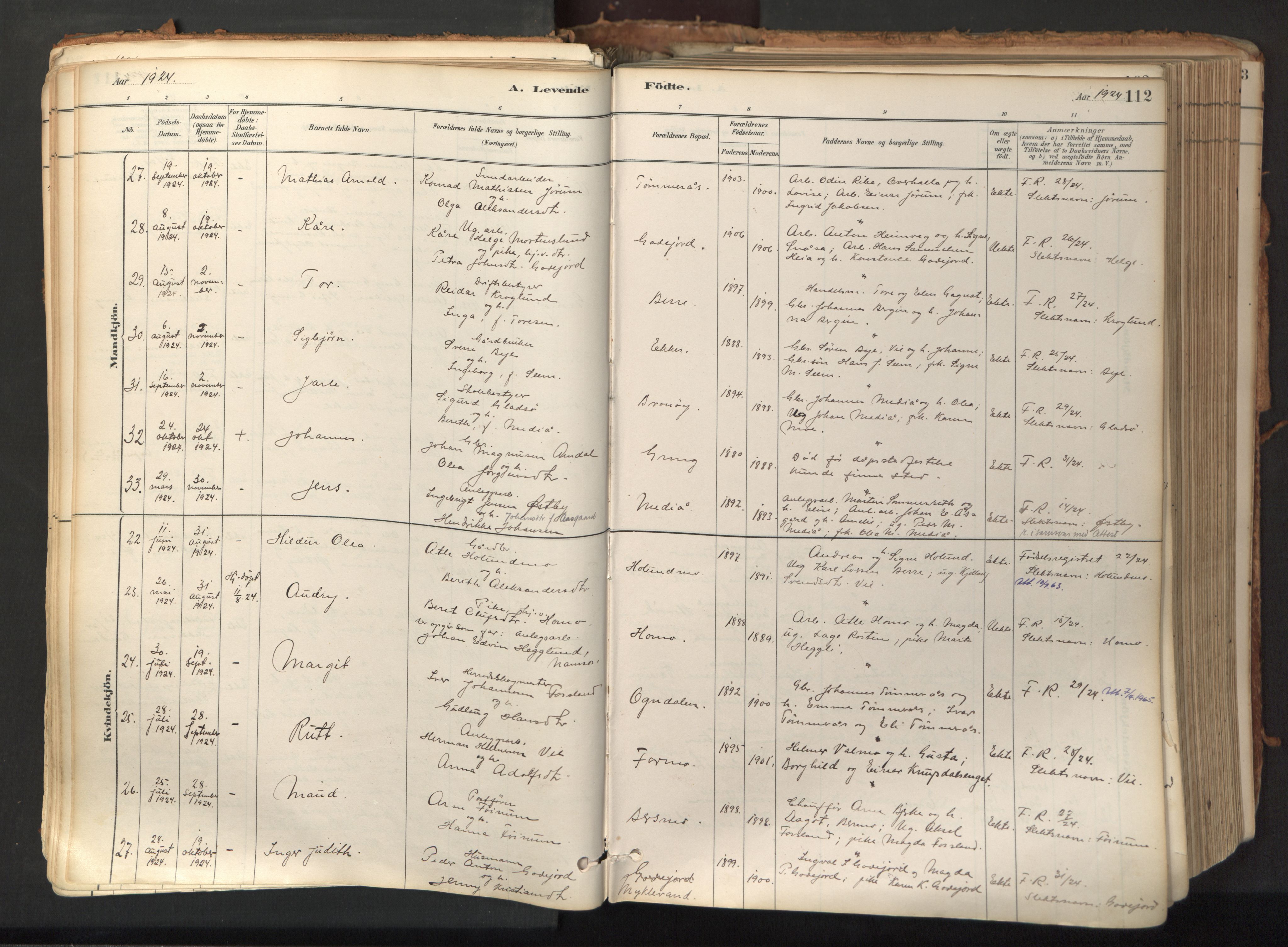 Ministerialprotokoller, klokkerbøker og fødselsregistre - Nord-Trøndelag, SAT/A-1458/758/L0519: Ministerialbok nr. 758A04, 1880-1926, s. 112