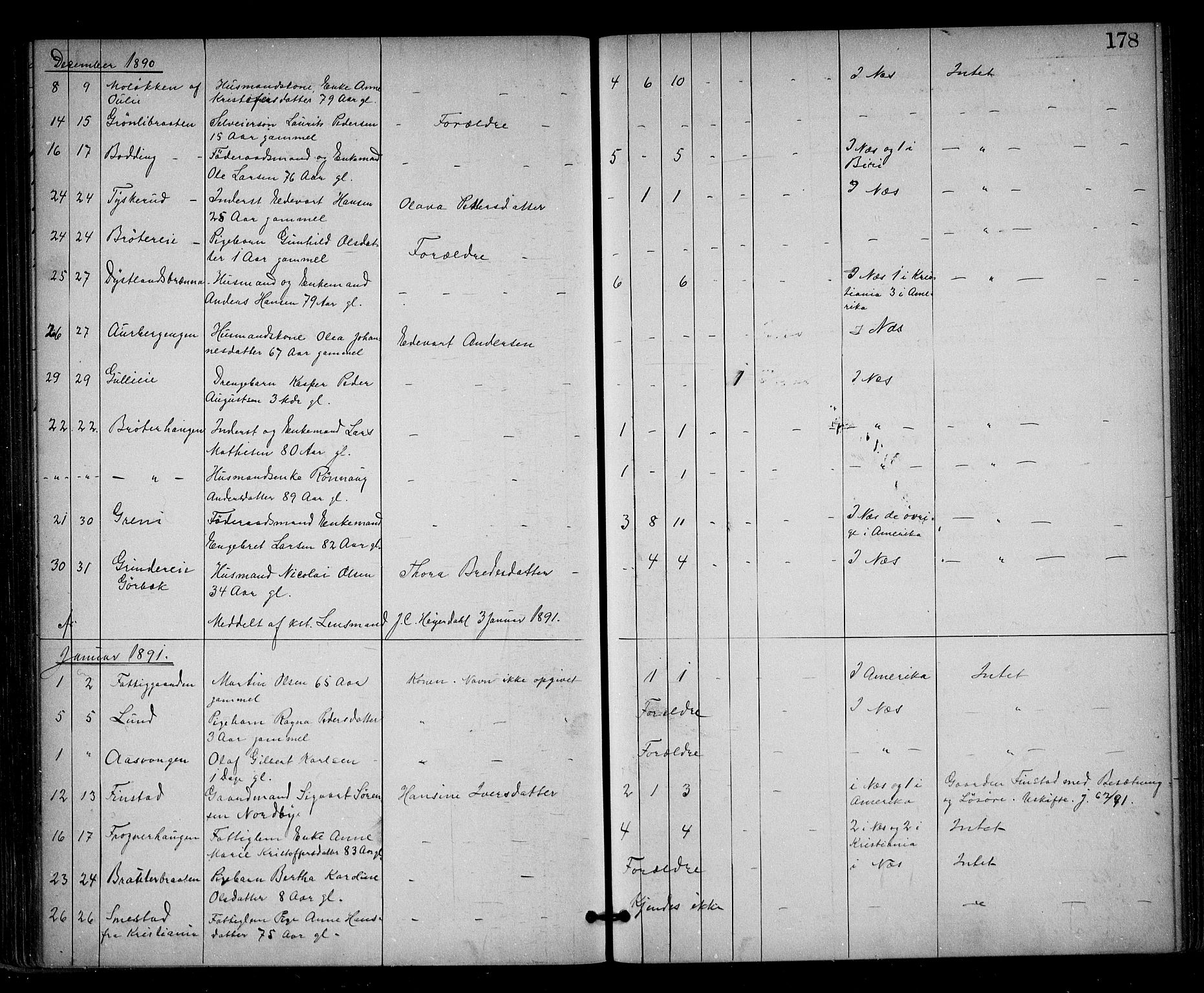 Nes tingrett, AV/SAO-A-10548/H/Ha/Haa/L0001: Dødsfallsprotokoll, 1876-1905, s. 178