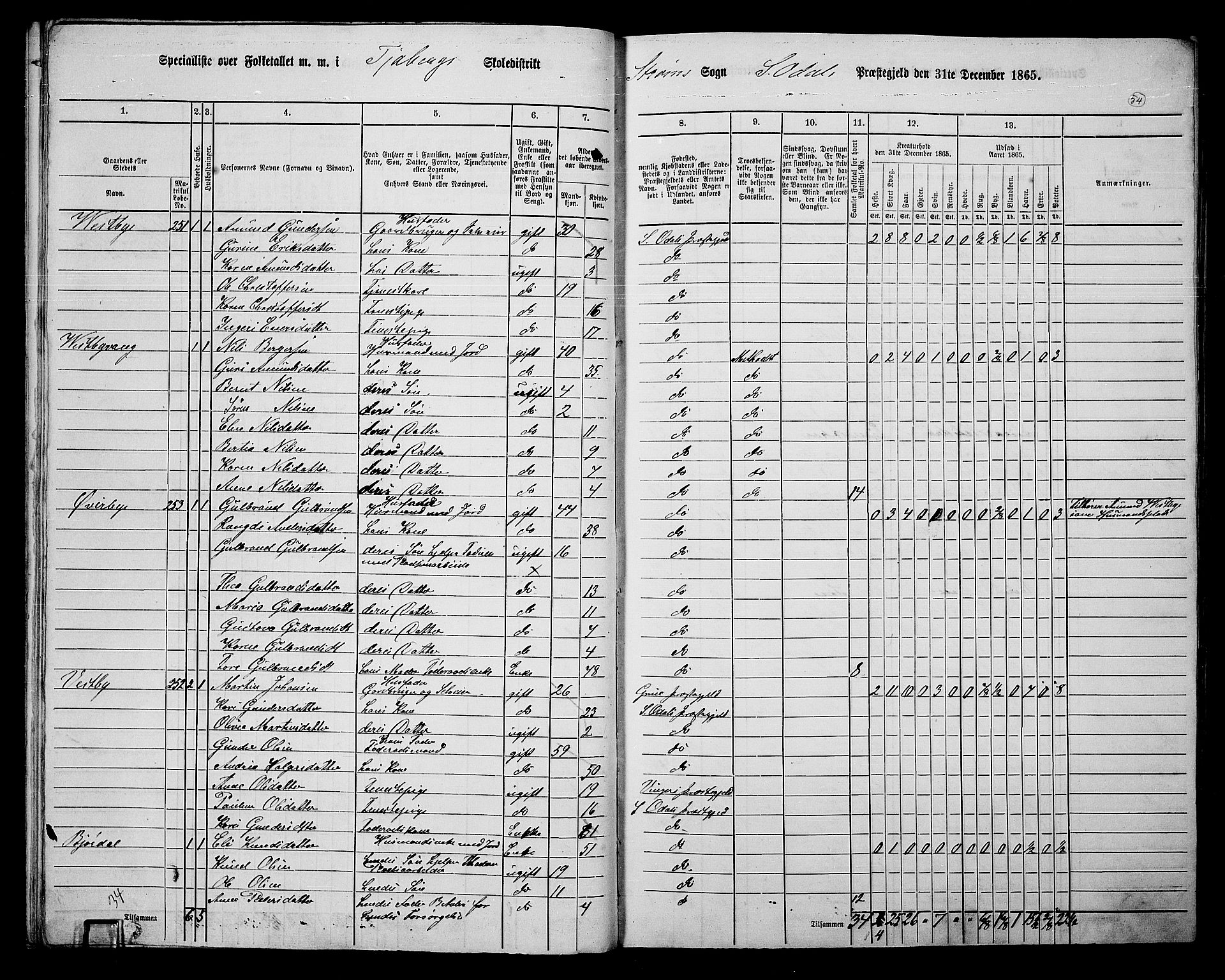 RA, Folketelling 1865 for 0419P Sør-Odal prestegjeld, 1865, s. 46