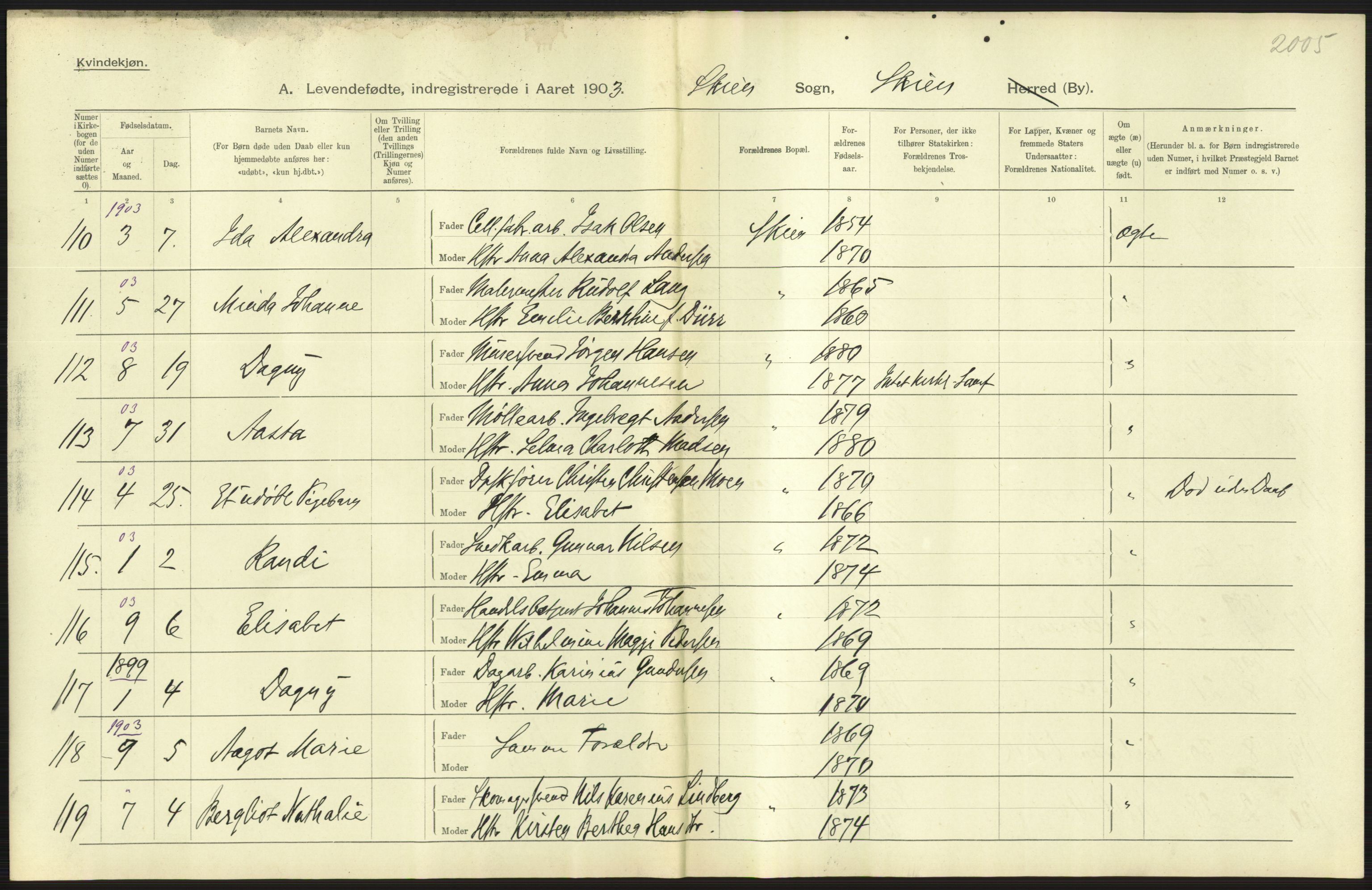 Statistisk sentralbyrå, Sosiodemografiske emner, Befolkning, AV/RA-S-2228/D/Df/Dfa/Dfaa/L0009: Bratsberg amt: Fødte, gifte, døde, 1903, s. 289