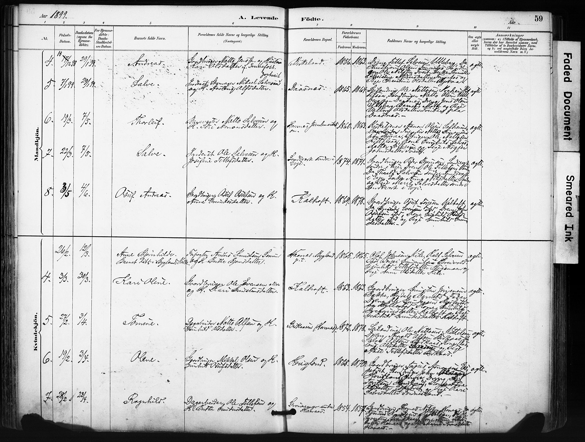 Evje sokneprestkontor, SAK/1111-0008/F/Fa/Fab/L0003: Ministerialbok nr. A 3, 1884-1909, s. 59