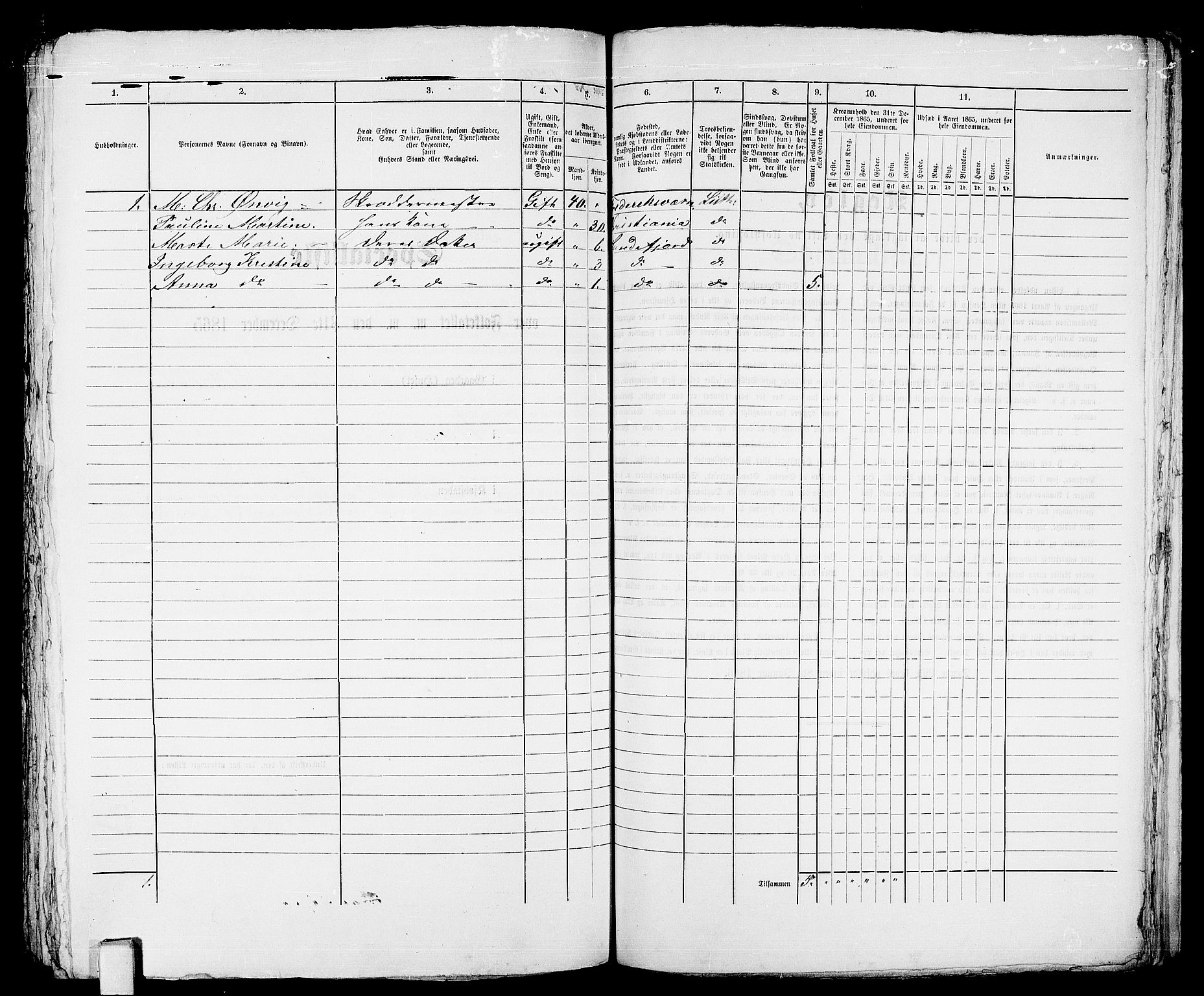 RA, Folketelling 1865 for 0706B Sandeherred prestegjeld, Sandefjord kjøpstad, 1865, s. 366