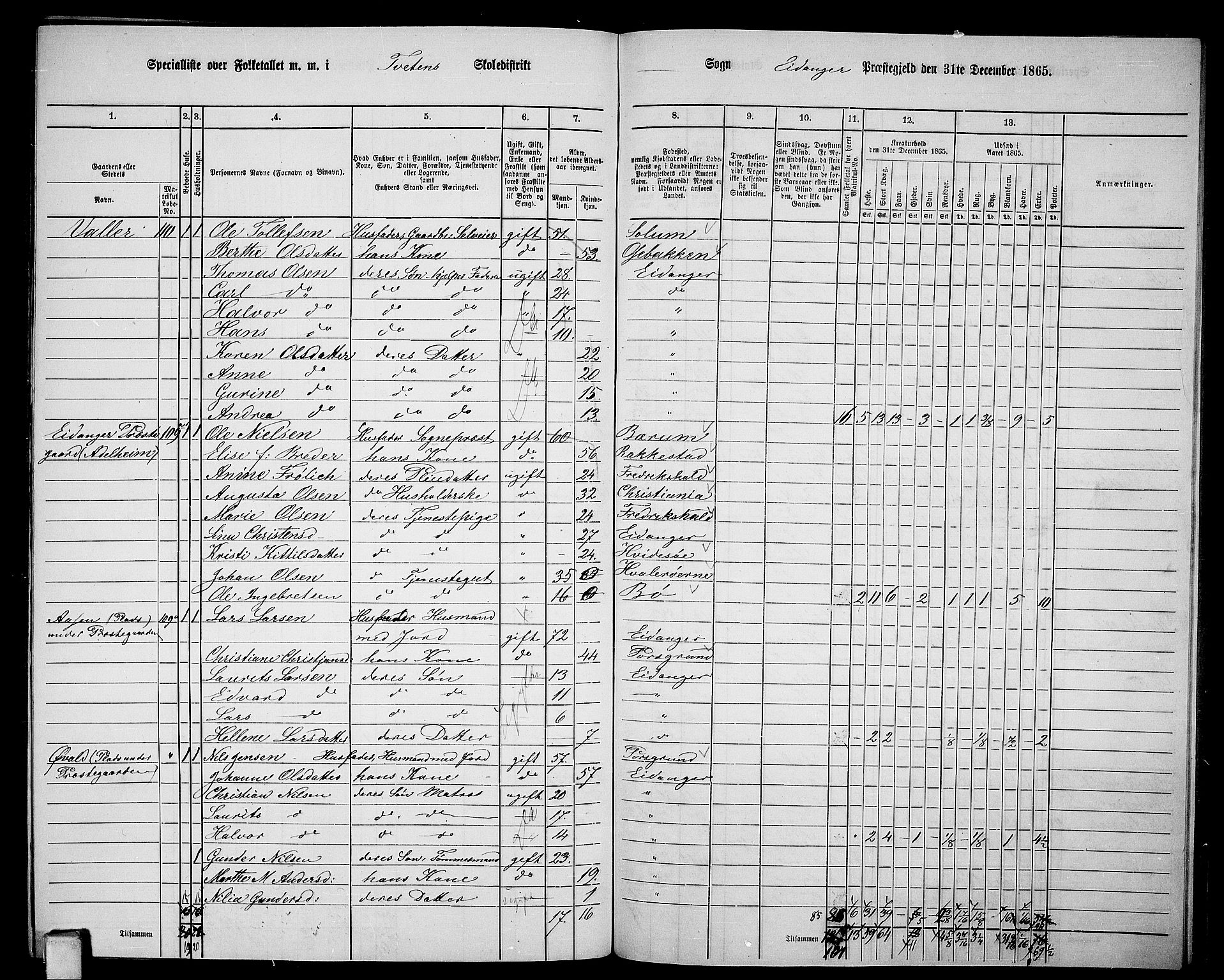RA, Folketelling 1865 for 0813P Eidanger prestegjeld, 1865, s. 103