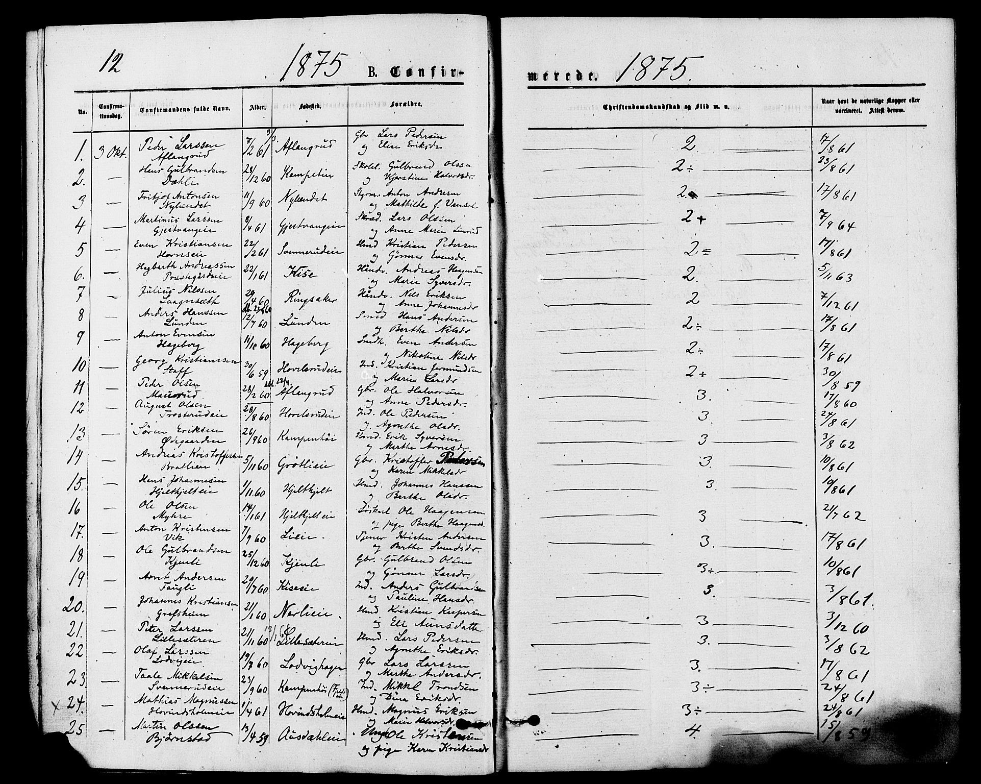 Nes prestekontor, Hedmark, AV/SAH-PREST-020/K/Ka/L0006: Ministerialbok nr. 6, 1873-1886, s. 12